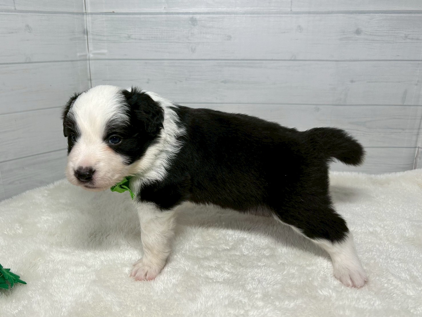 赤ちゃん写真2-2