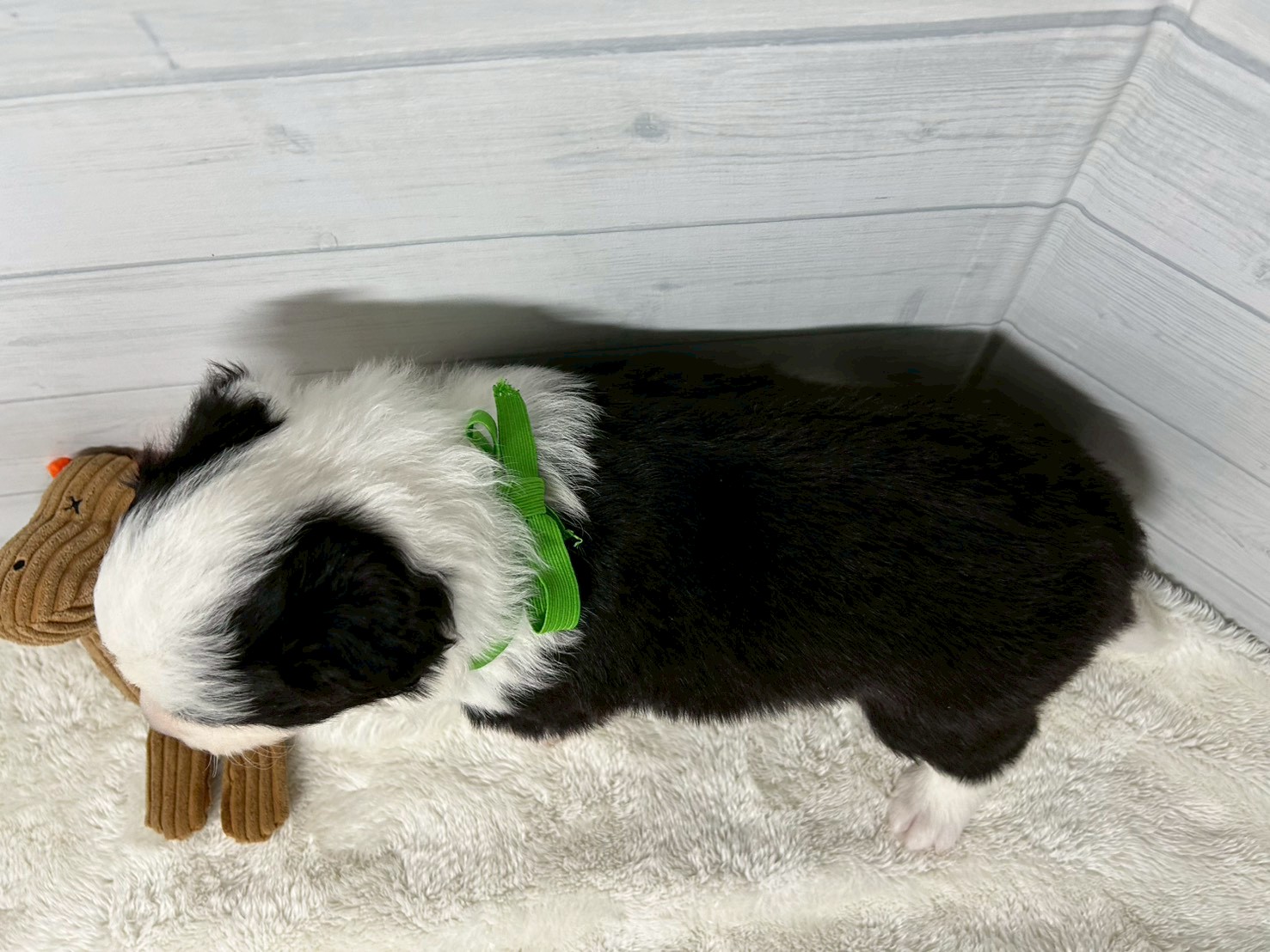 赤ちゃん写真2-3