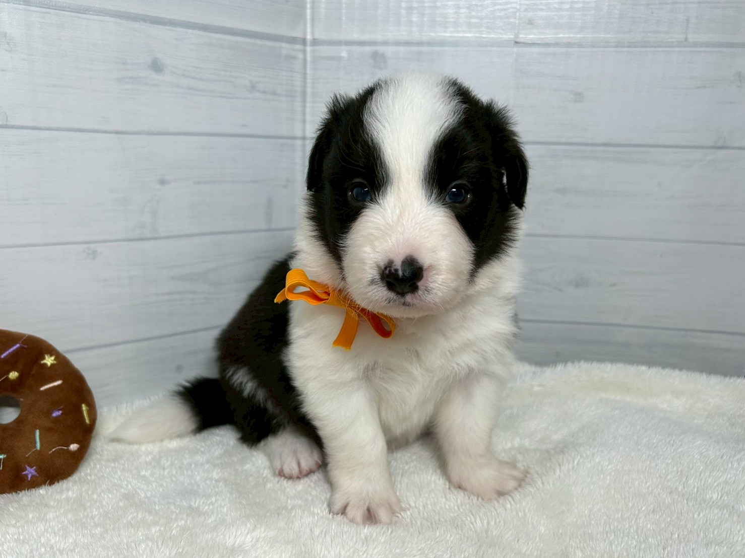 赤ちゃん写真2-1