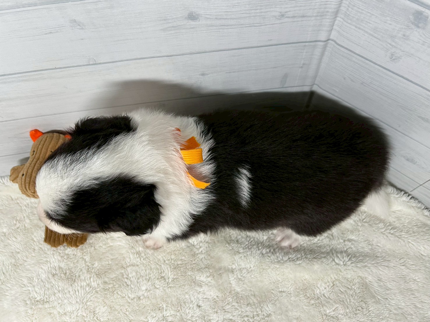 赤ちゃん写真2-3