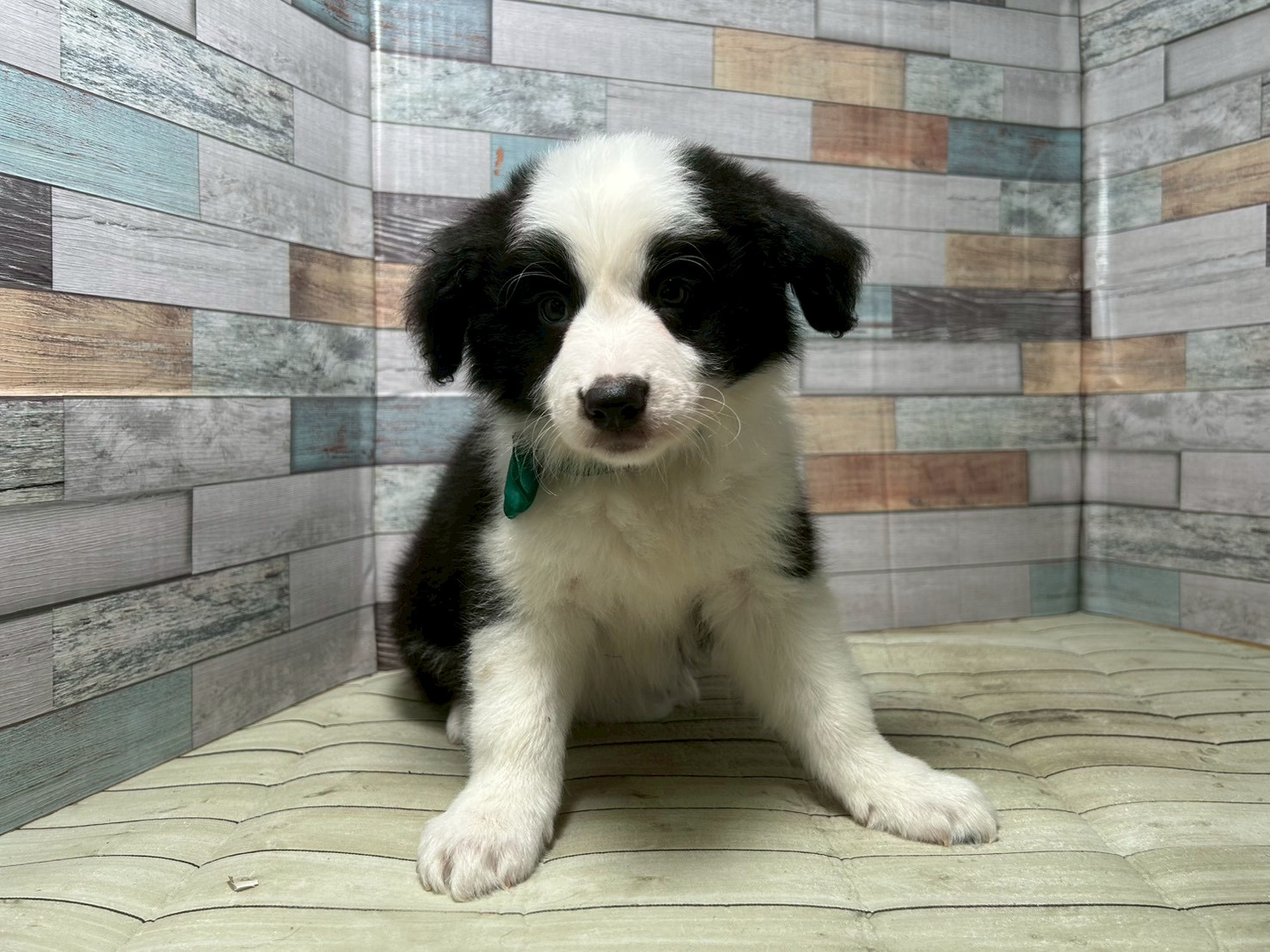 赤ちゃん写真3-1