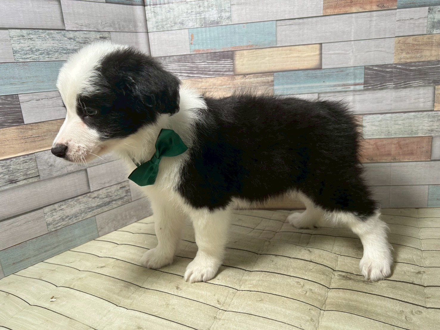 赤ちゃん写真3-2