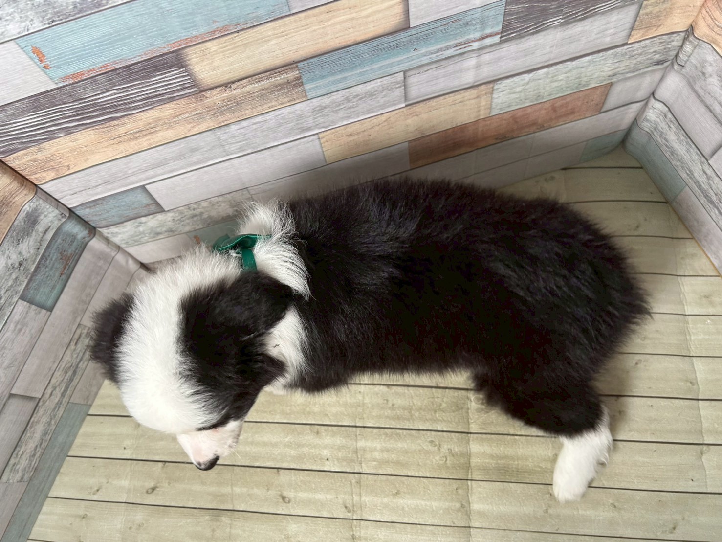 赤ちゃん写真3-3