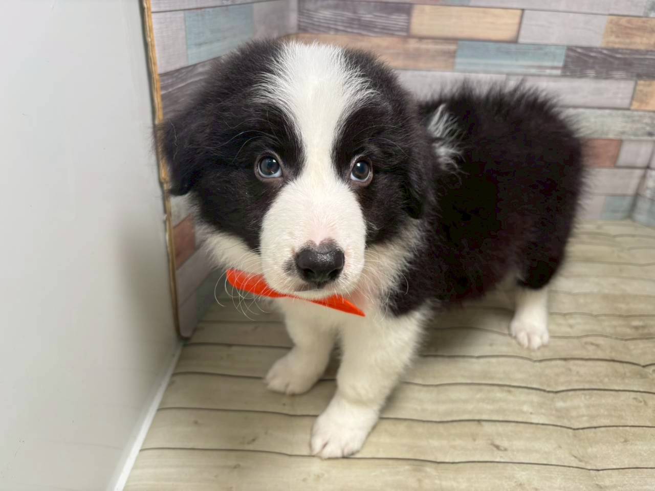 赤ちゃん写真3-1