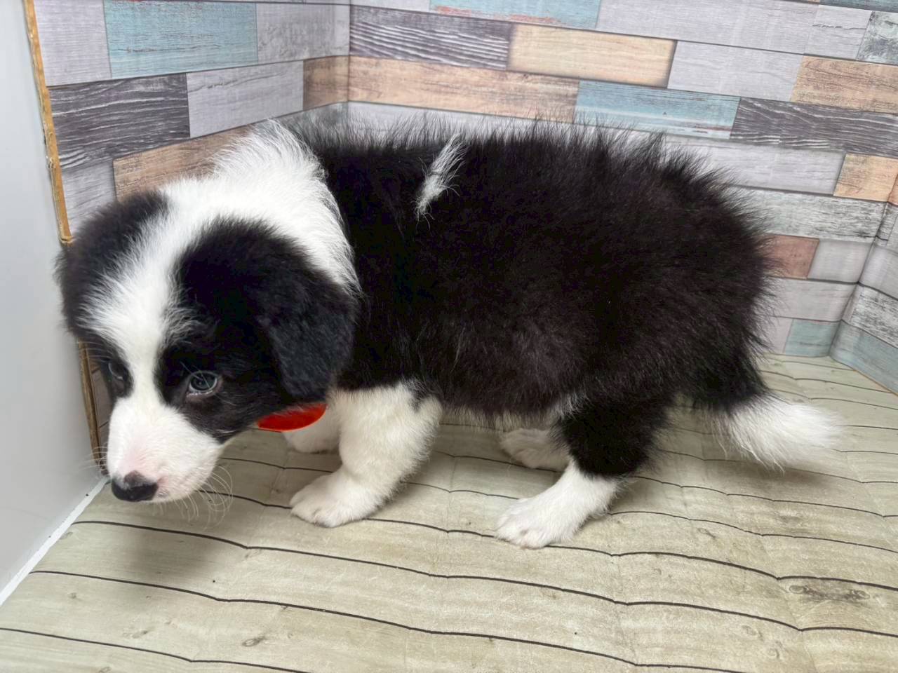 赤ちゃん写真3-2