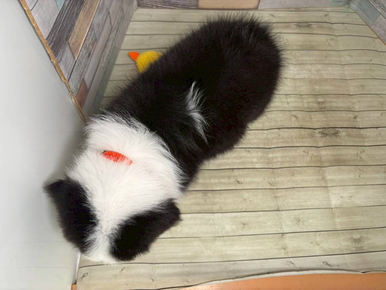 赤ちゃん写真3-3