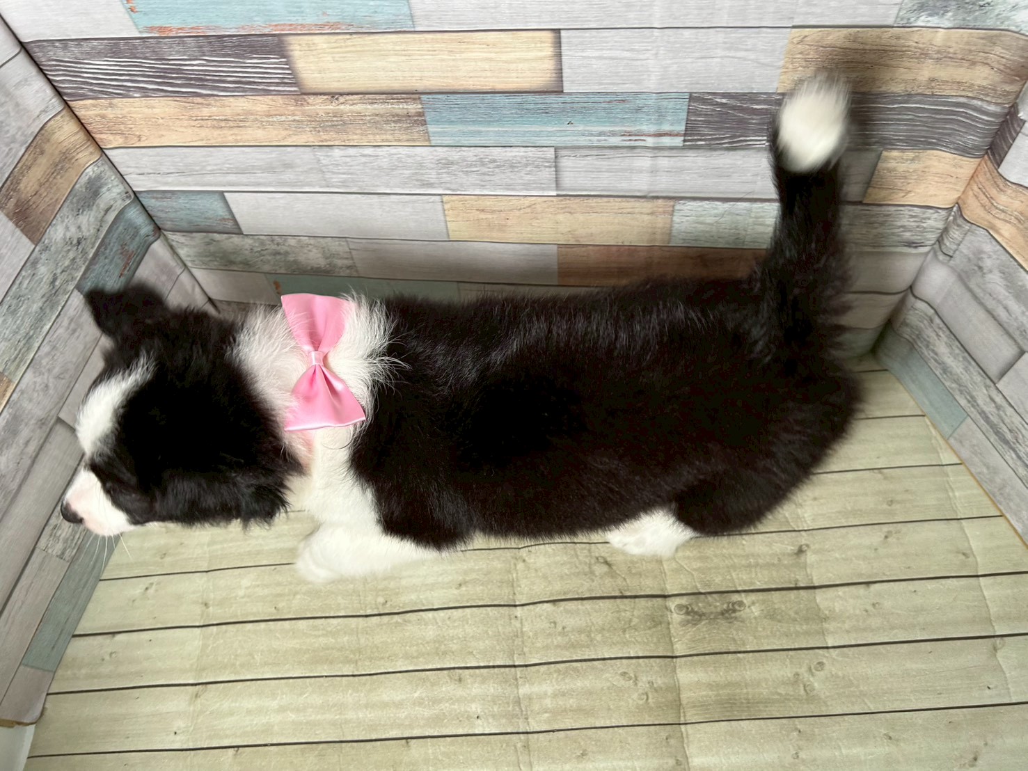赤ちゃん写真3-3