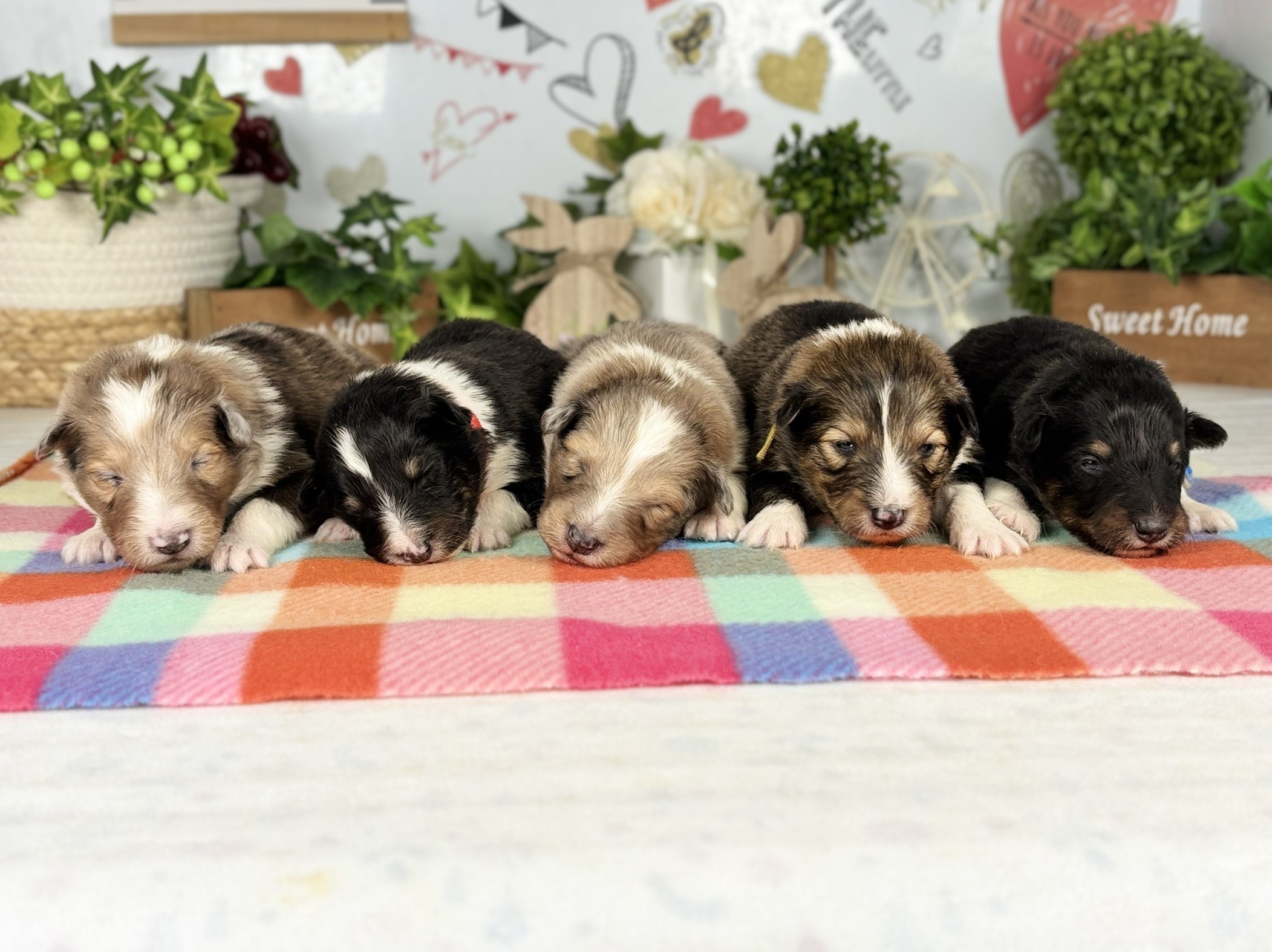赤ちゃん写真1-3
