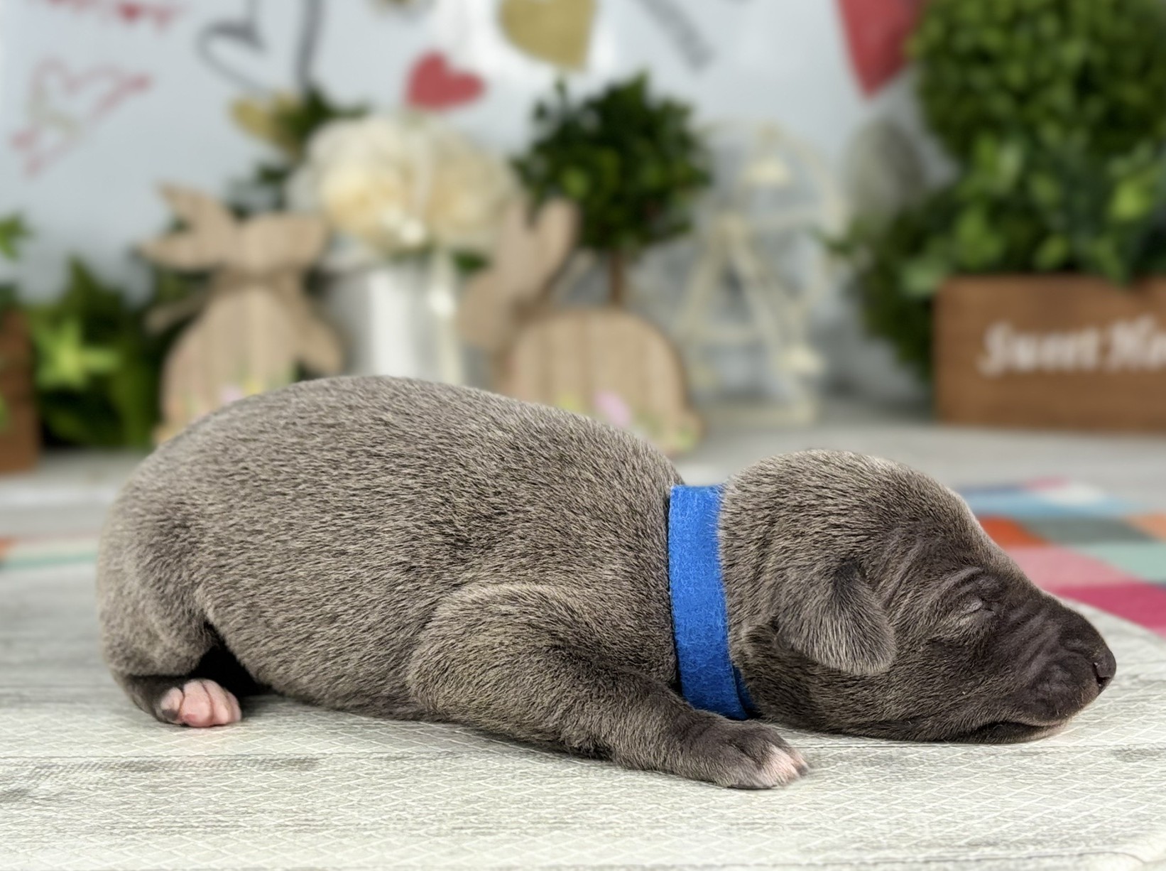 赤ちゃん写真1-2