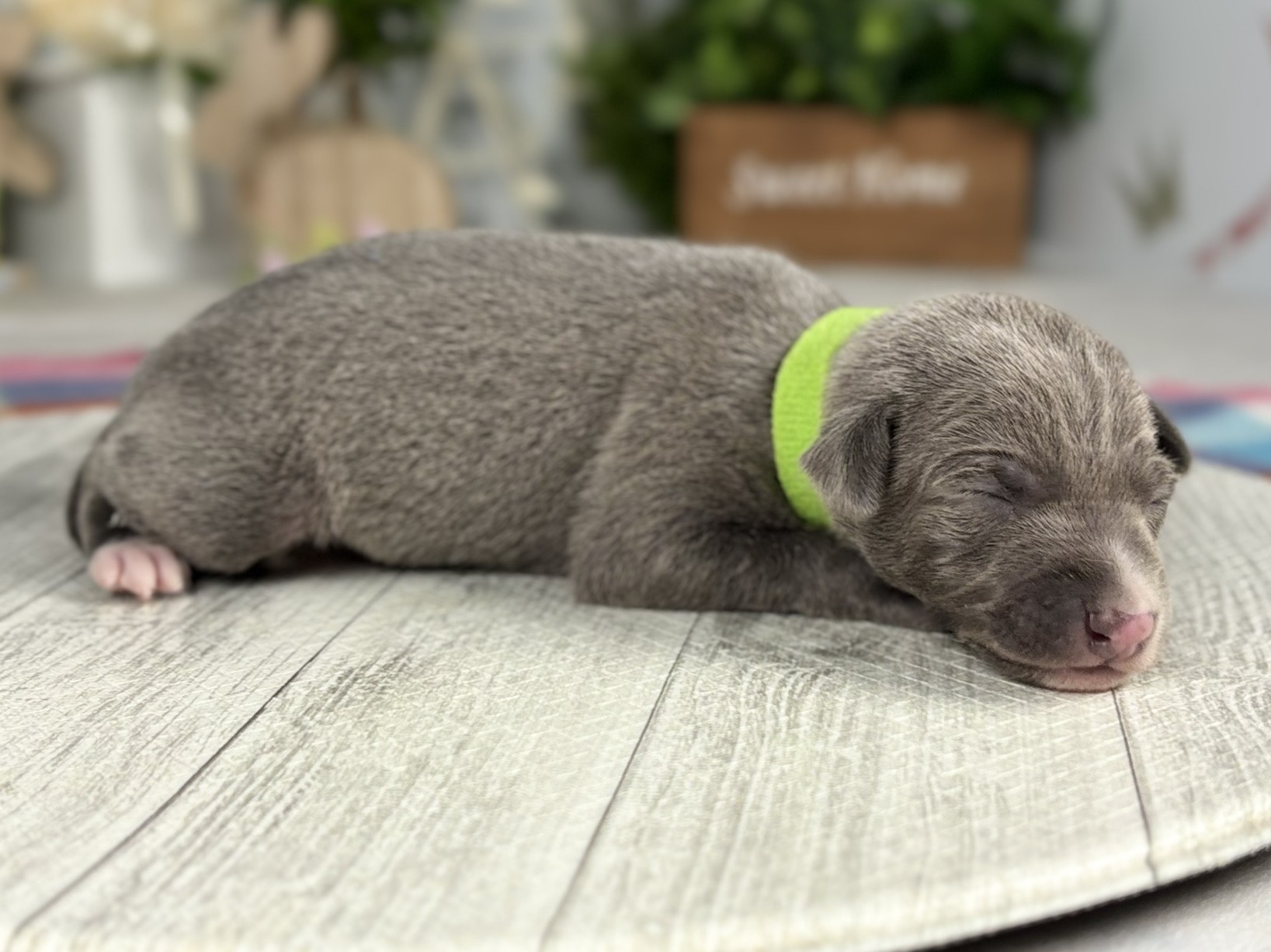 赤ちゃん写真1-2