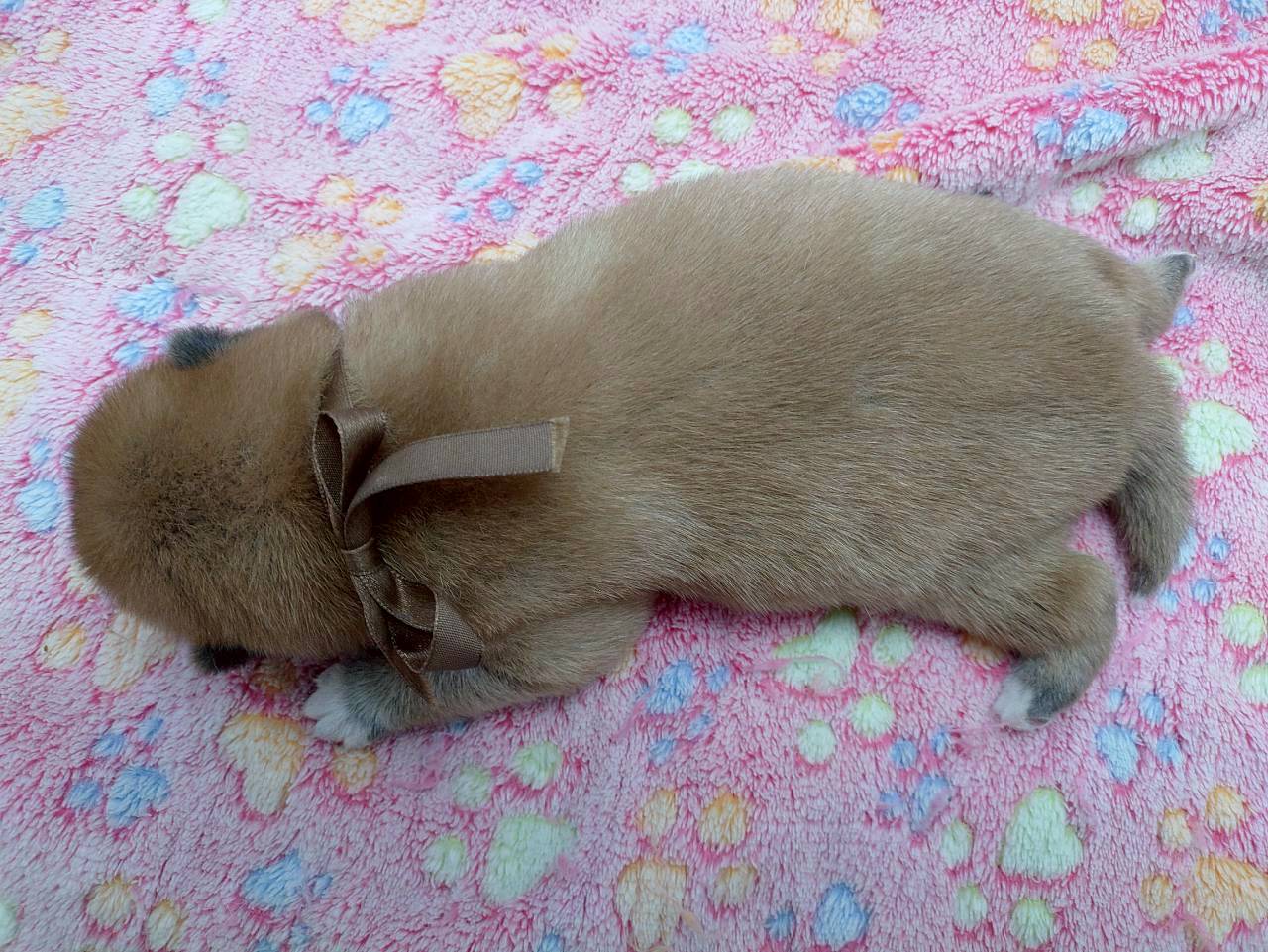 赤ちゃん写真1-3