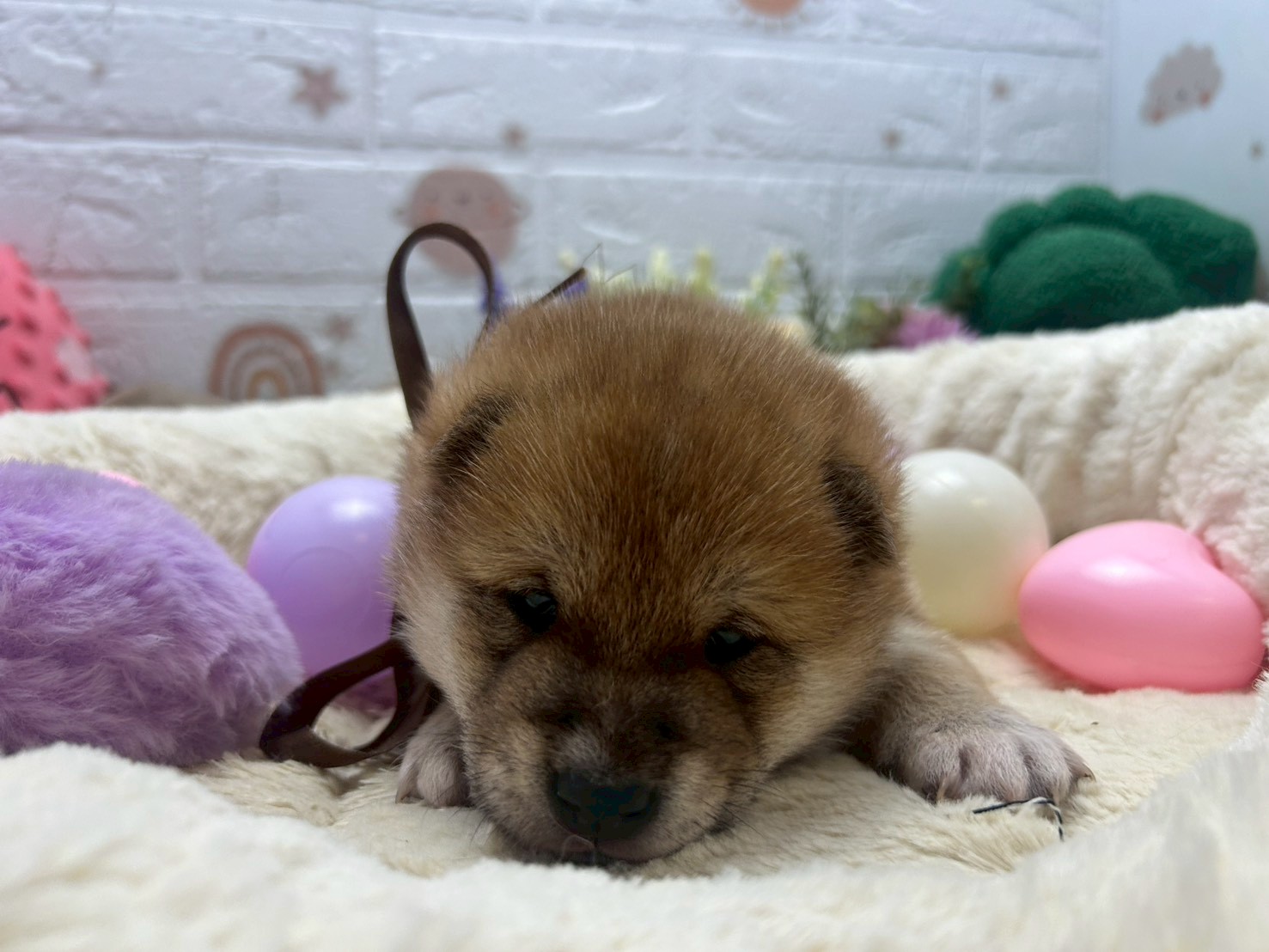 赤ちゃん写真2-1