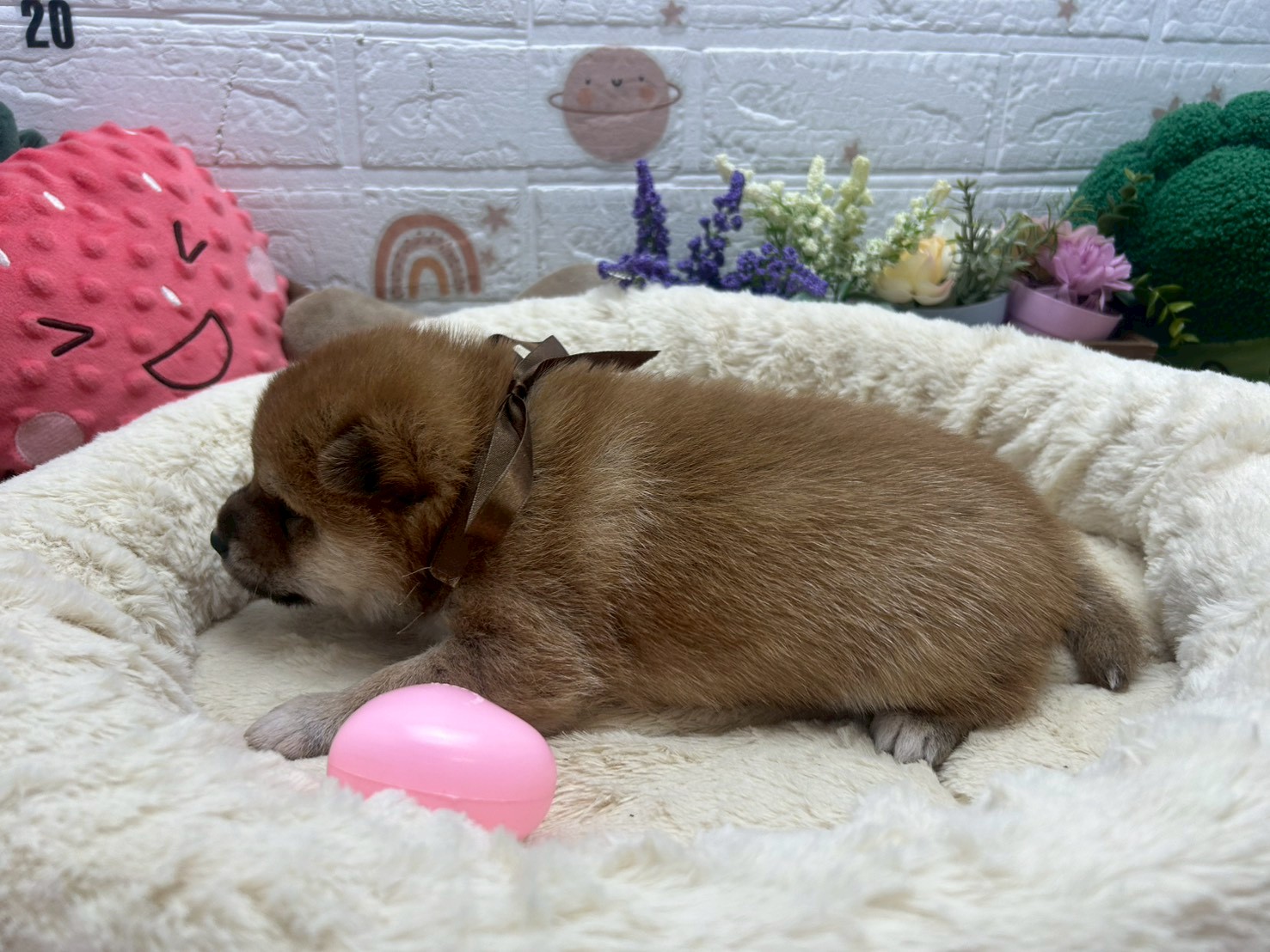 赤ちゃん写真2-2