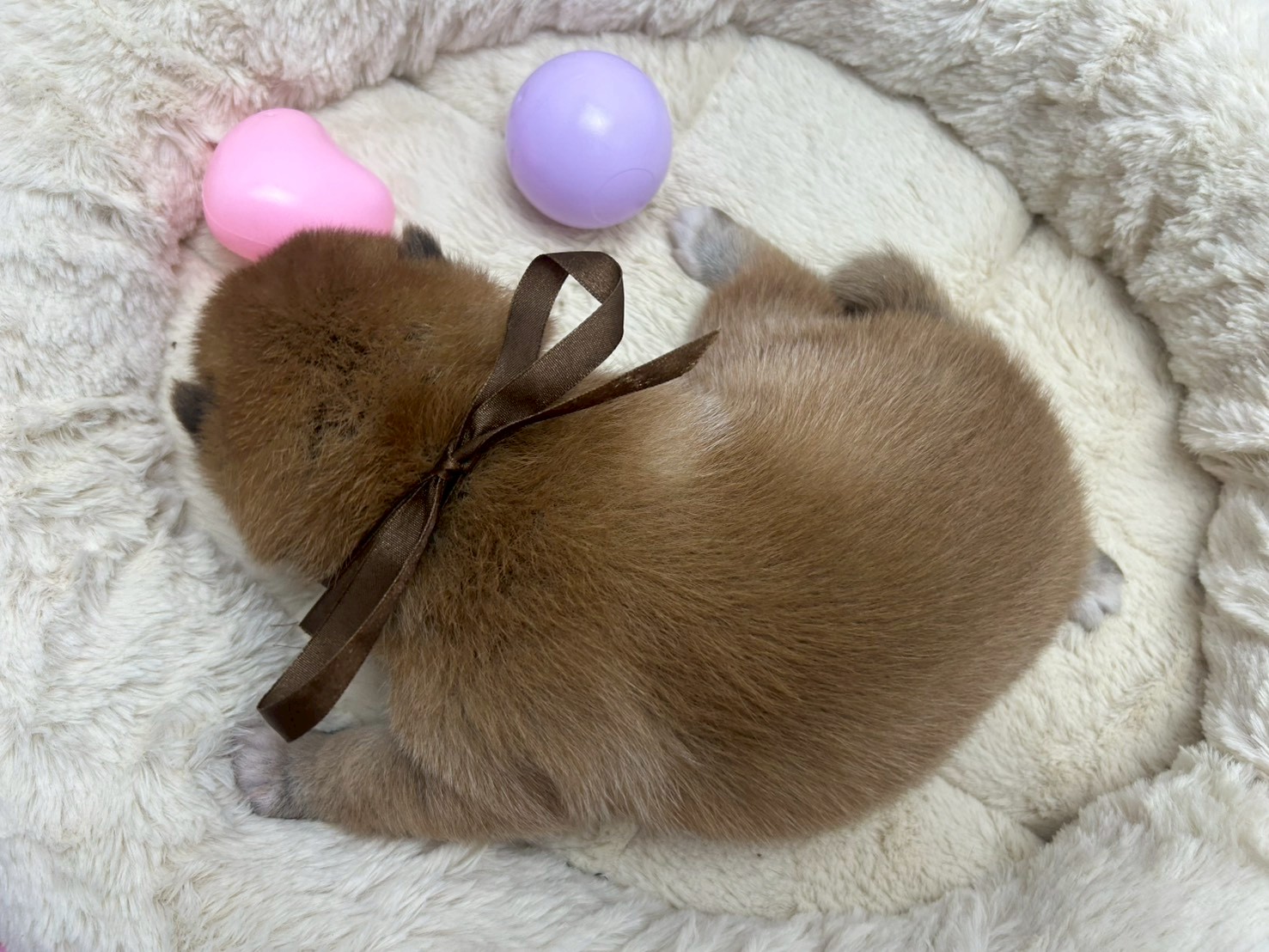 赤ちゃん写真2-3