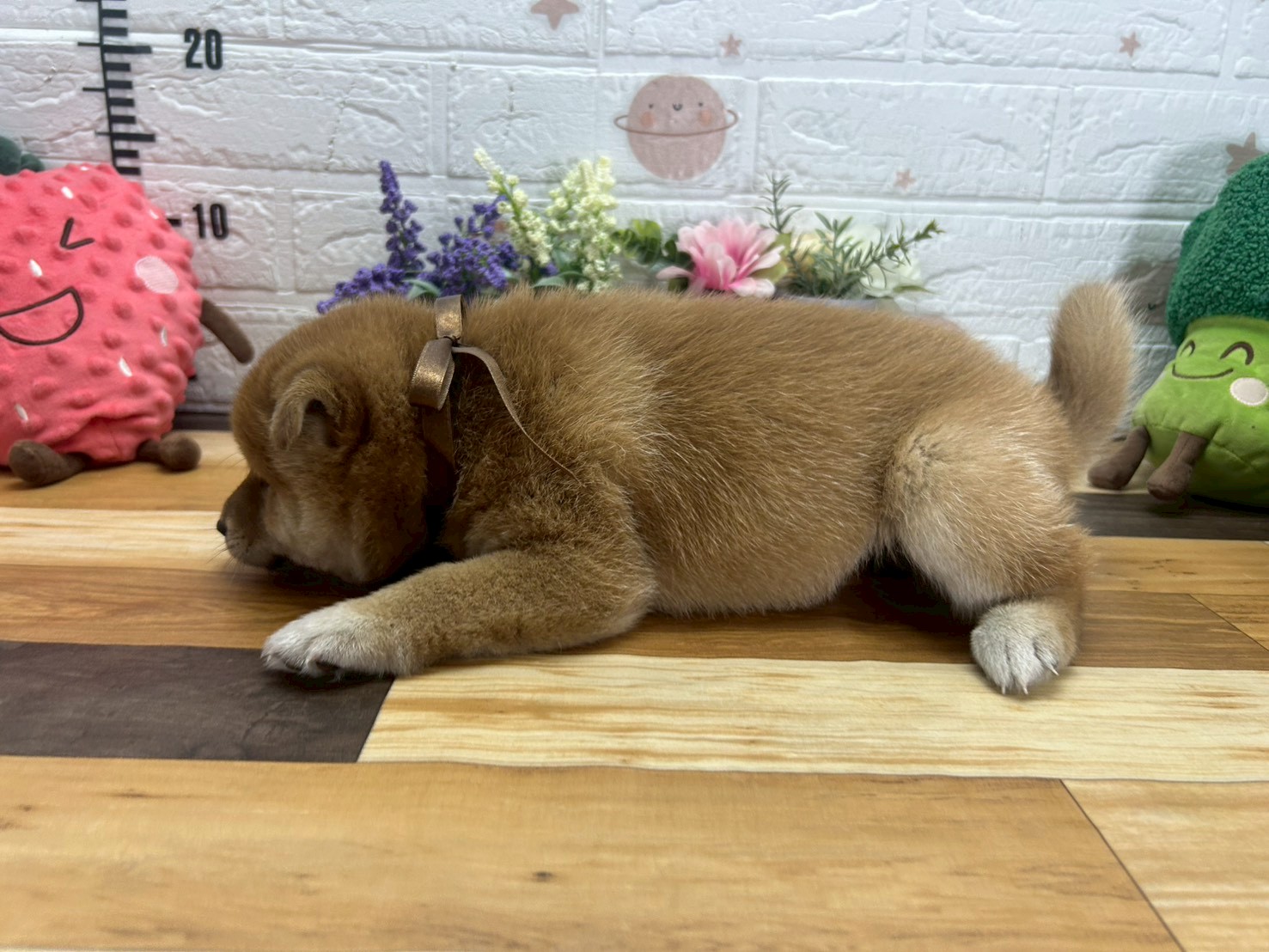 赤ちゃん写真3-2