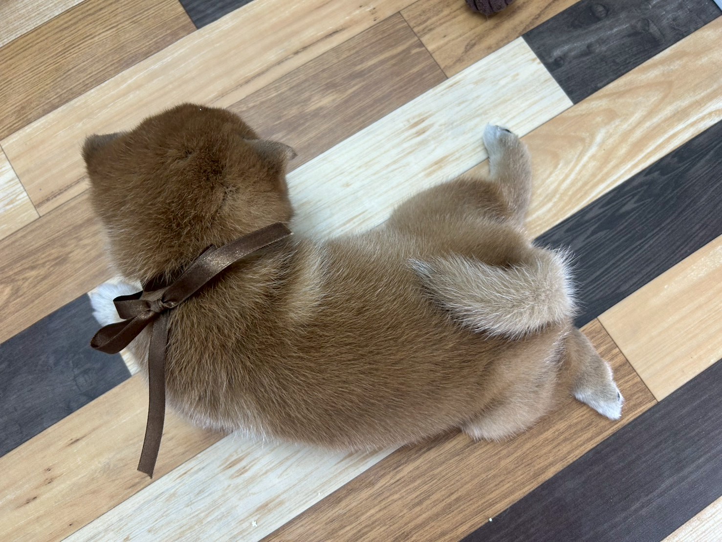 赤ちゃん写真3-3