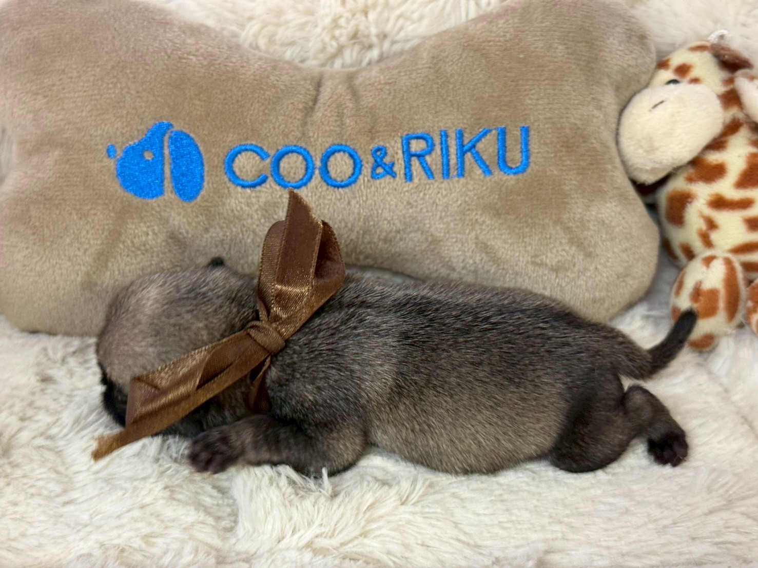 赤ちゃん写真1-2