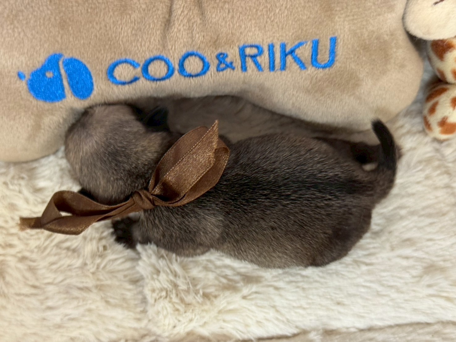 赤ちゃん写真1-3
