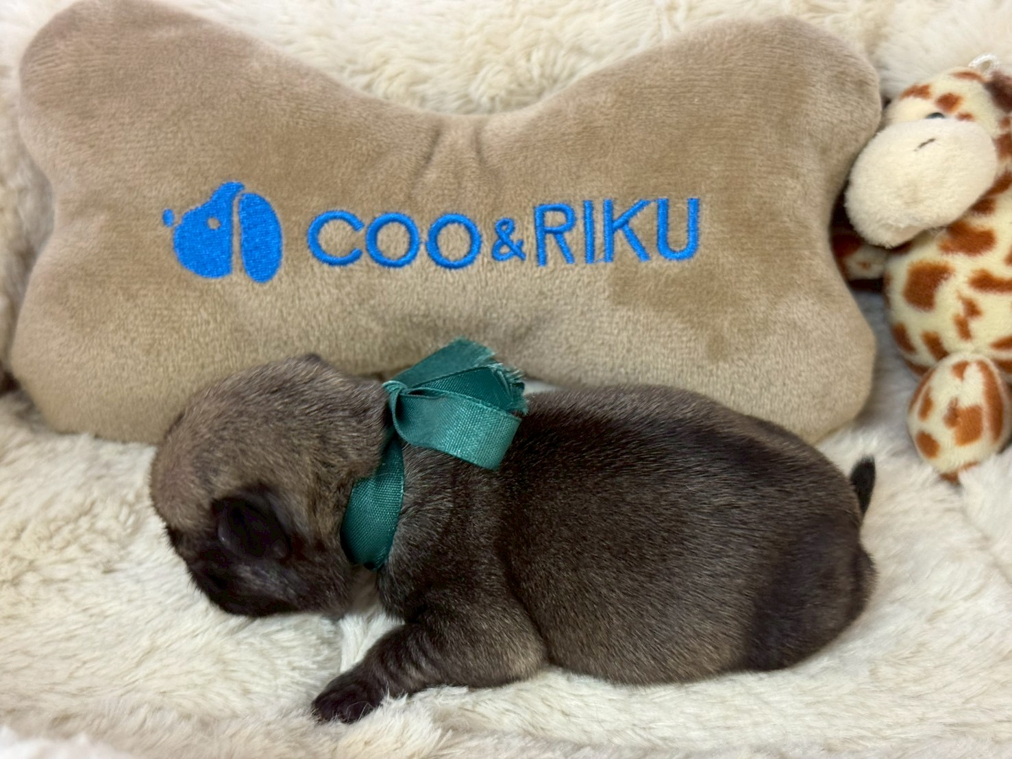 赤ちゃん写真1-2