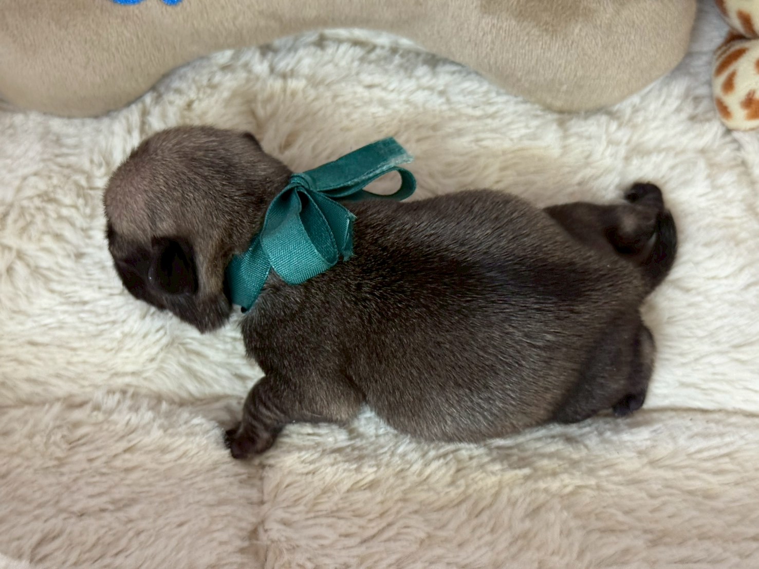 赤ちゃん写真1-3