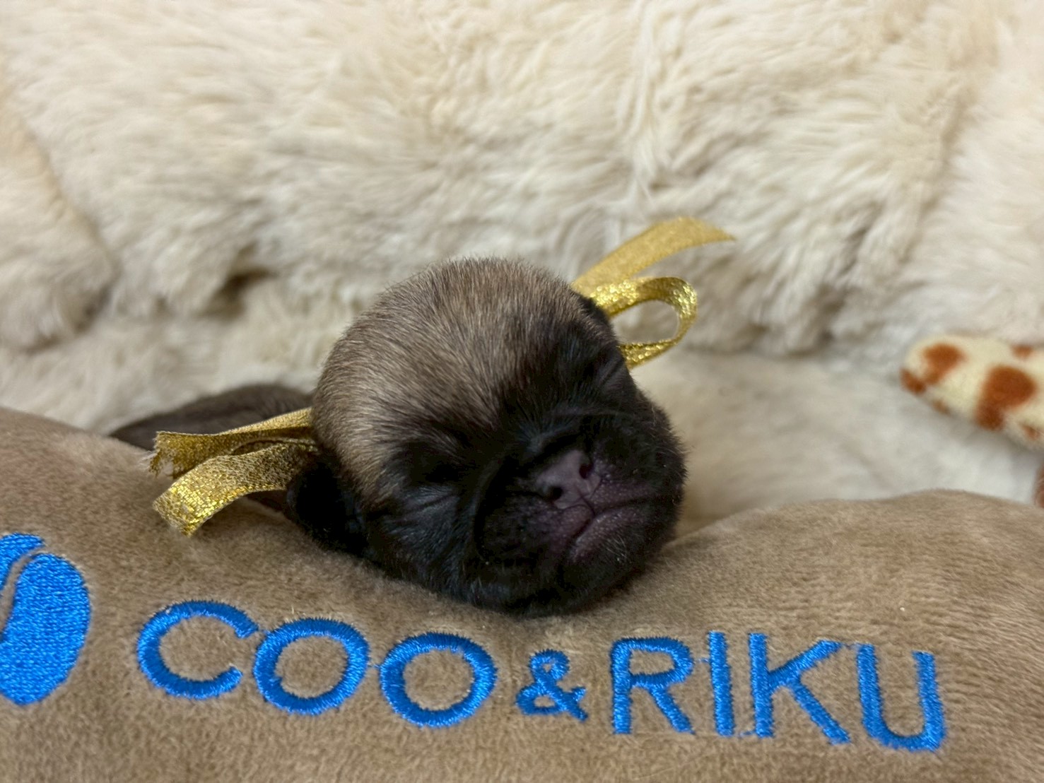 赤ちゃん写真1-1