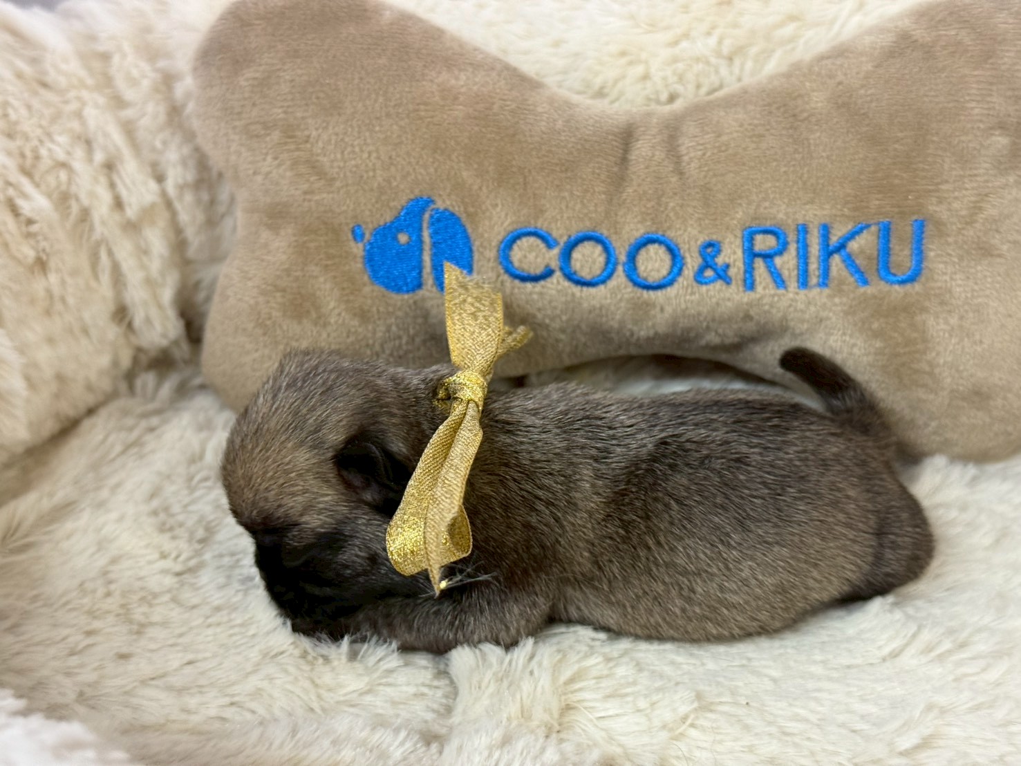 赤ちゃん写真1-2