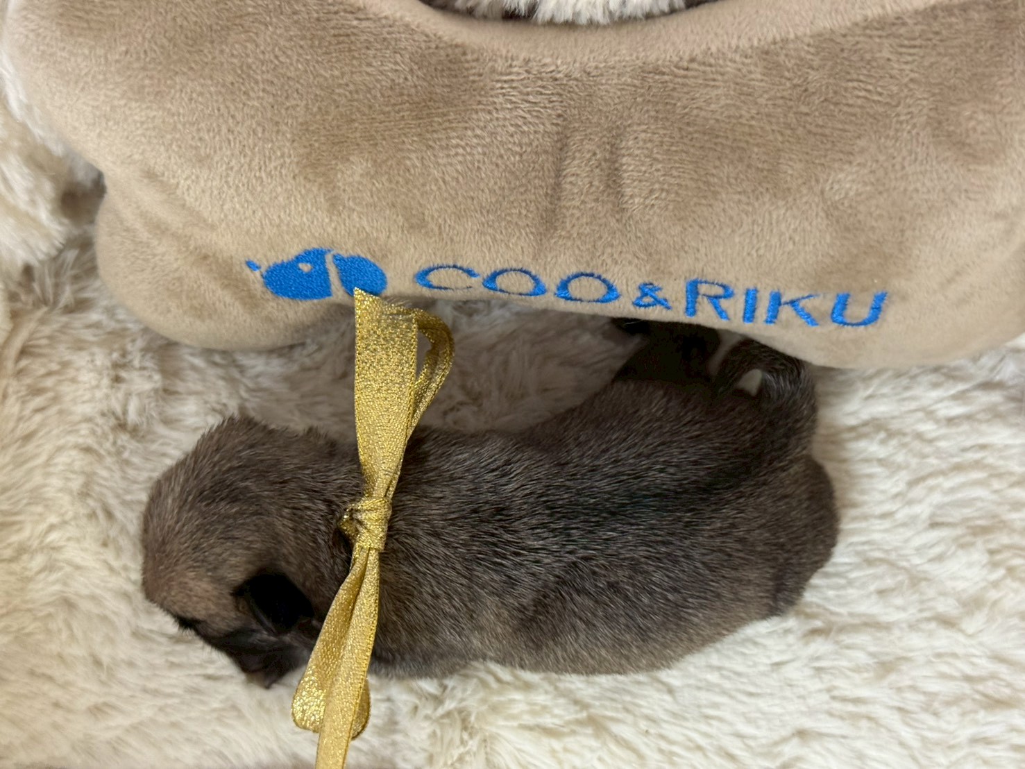 赤ちゃん写真1-3