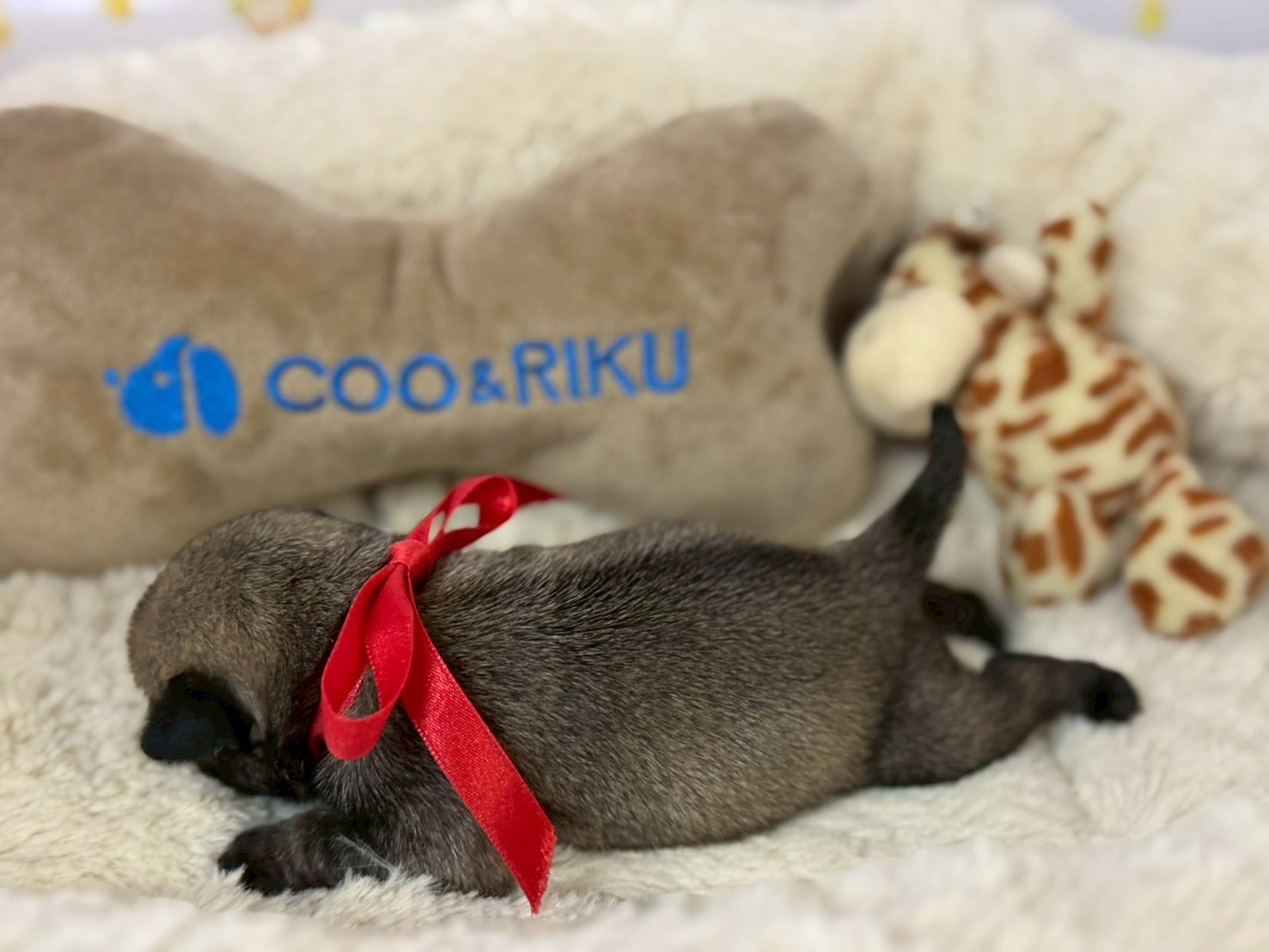 赤ちゃん写真1-2