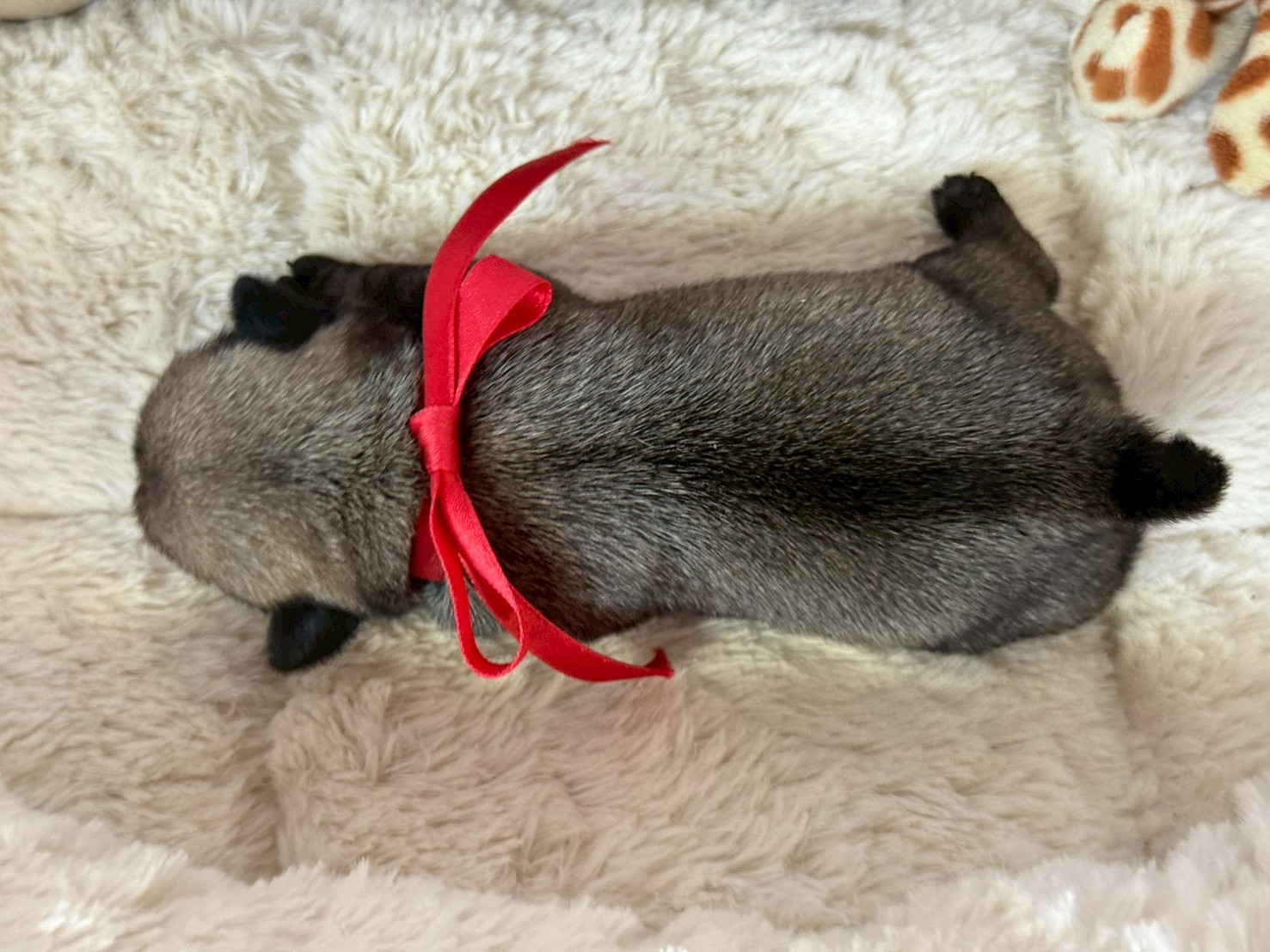 赤ちゃん写真1-3