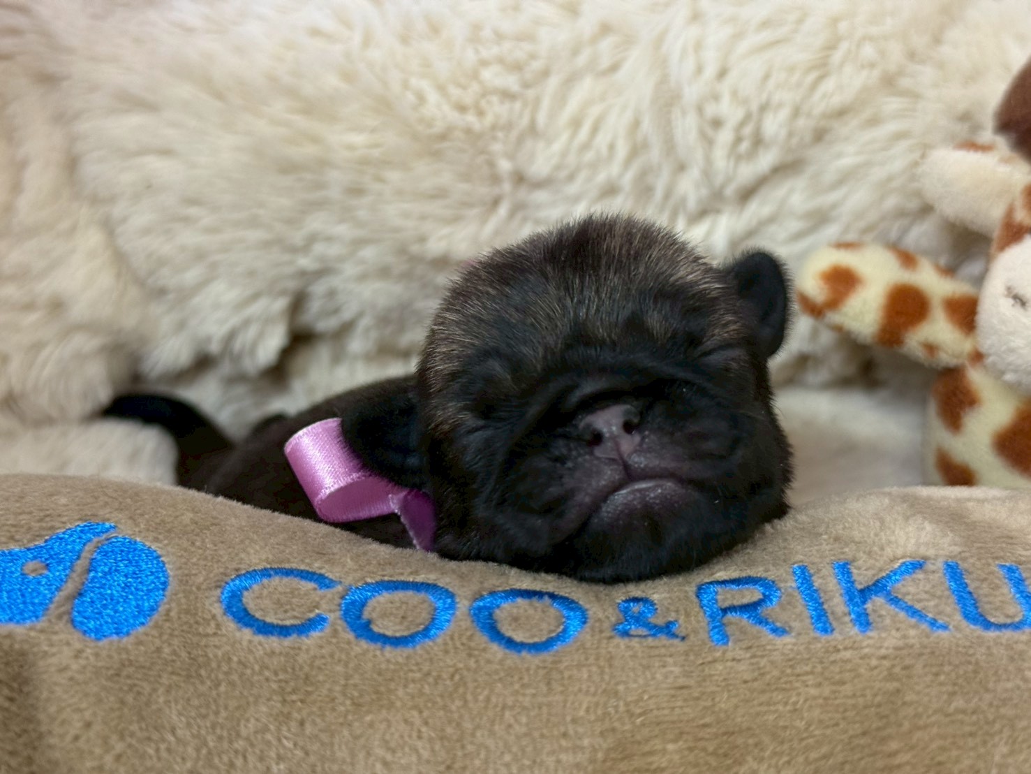 赤ちゃん写真1-1