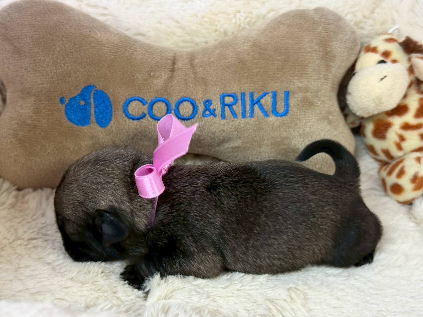 赤ちゃん写真1-2