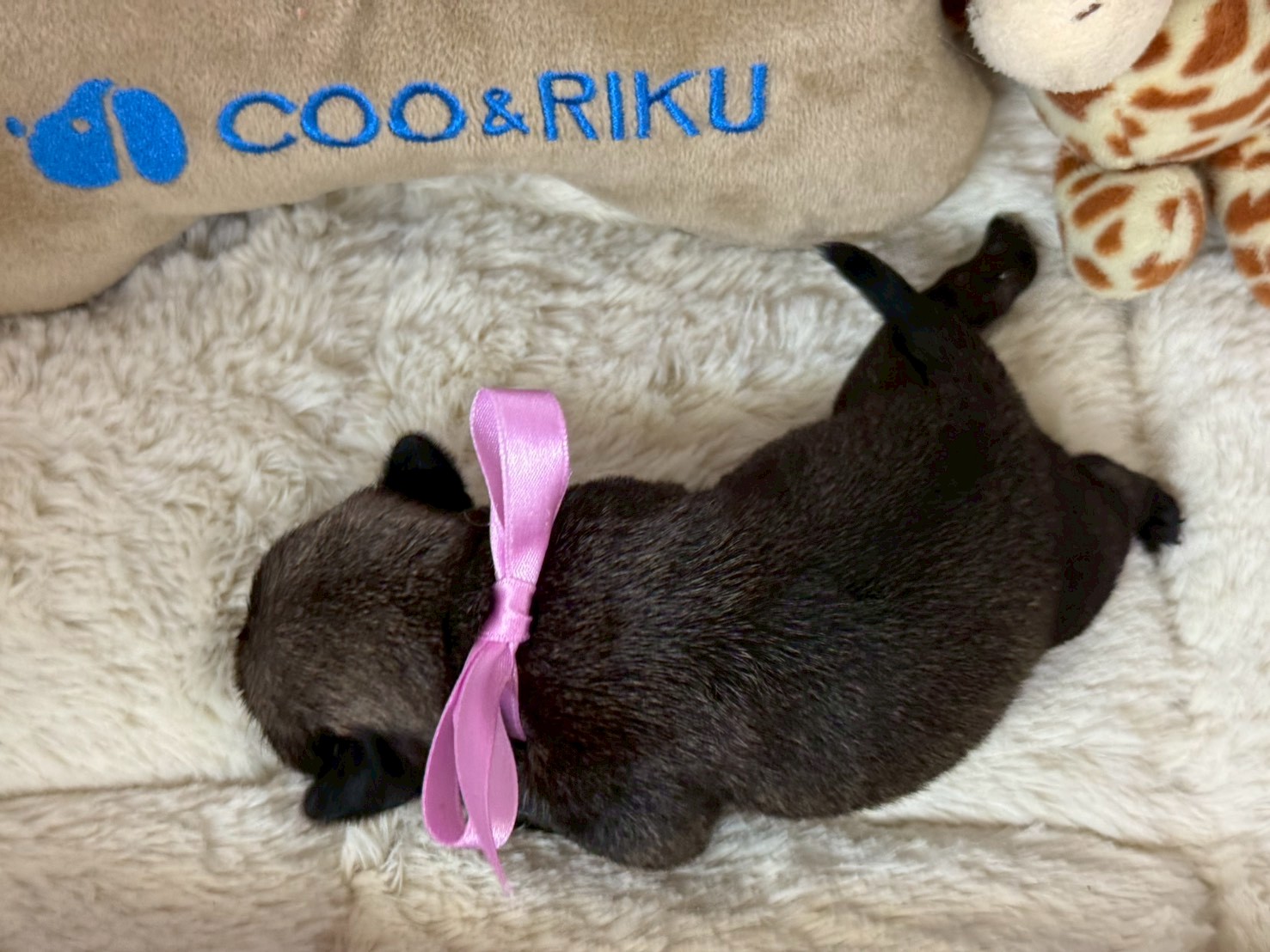 赤ちゃん写真1-3