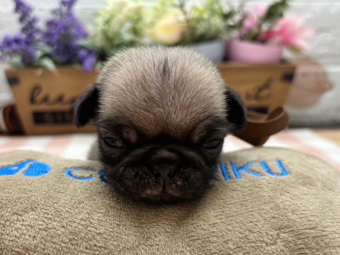 赤ちゃん写真2-1