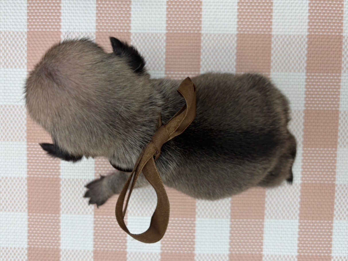 赤ちゃん写真2-3