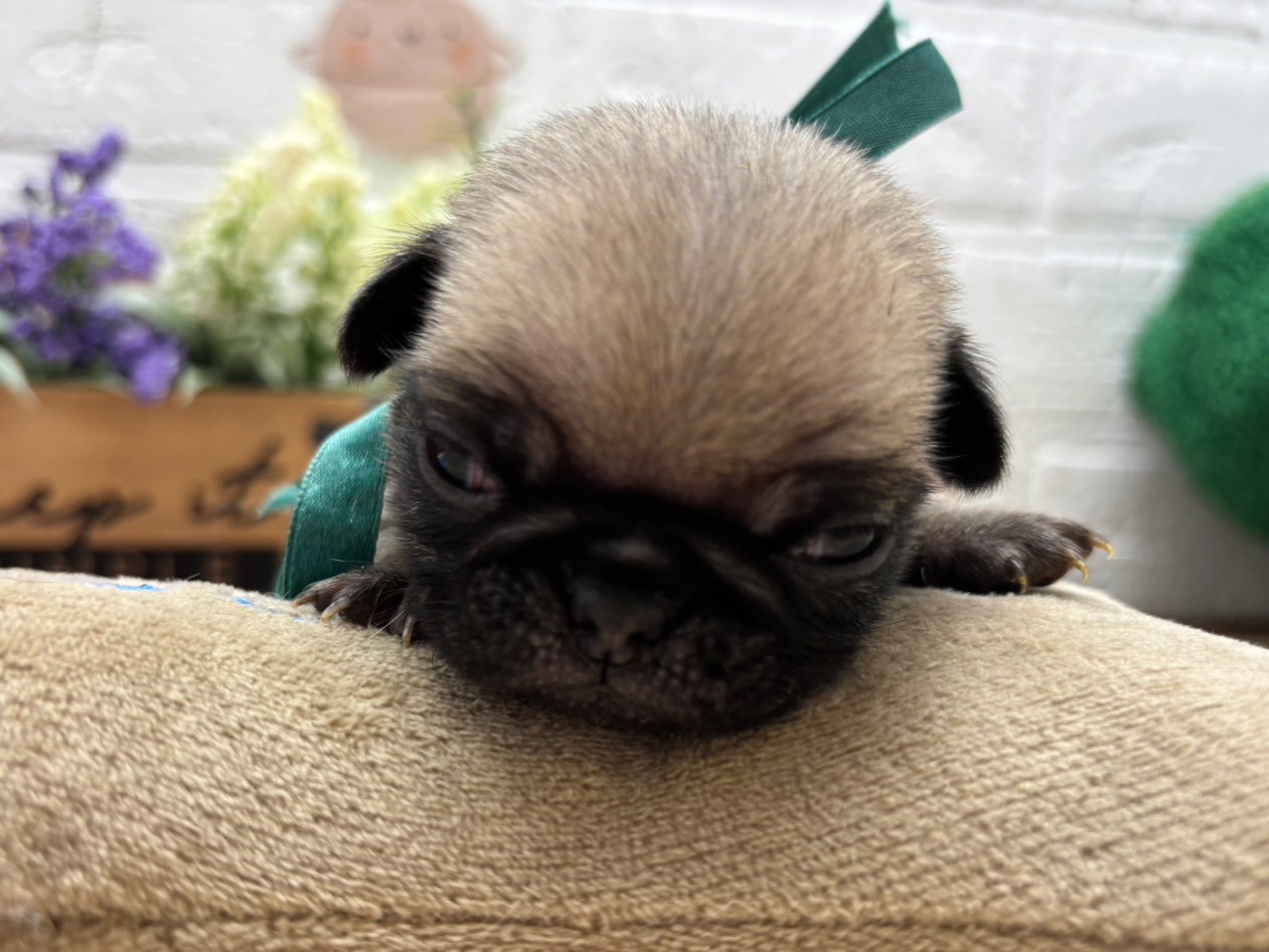 赤ちゃん写真2-1