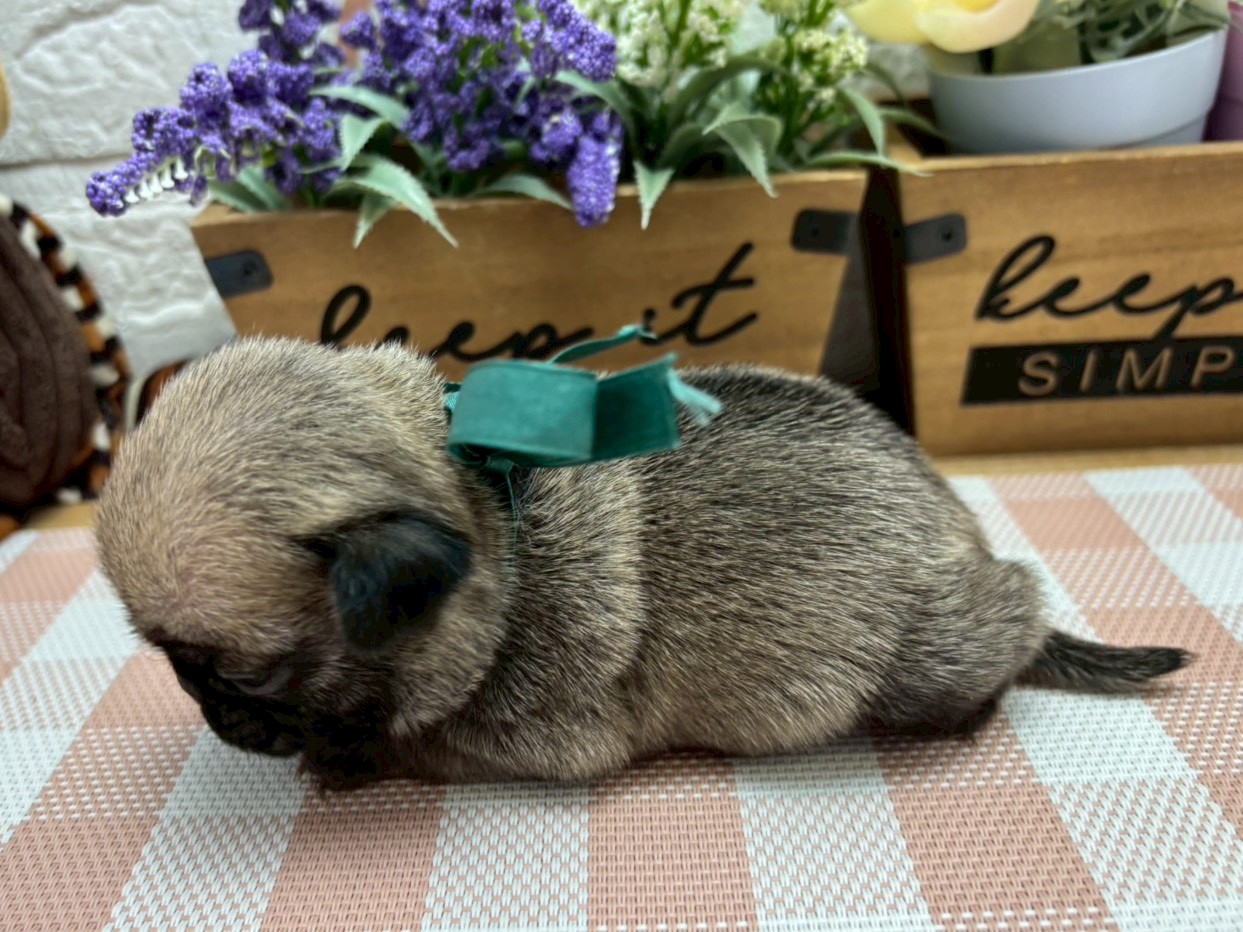 赤ちゃん写真2-2