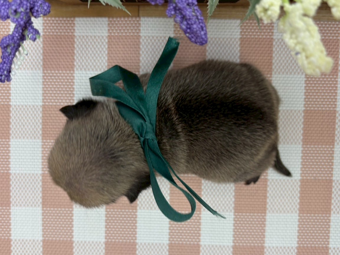 赤ちゃん写真2-3