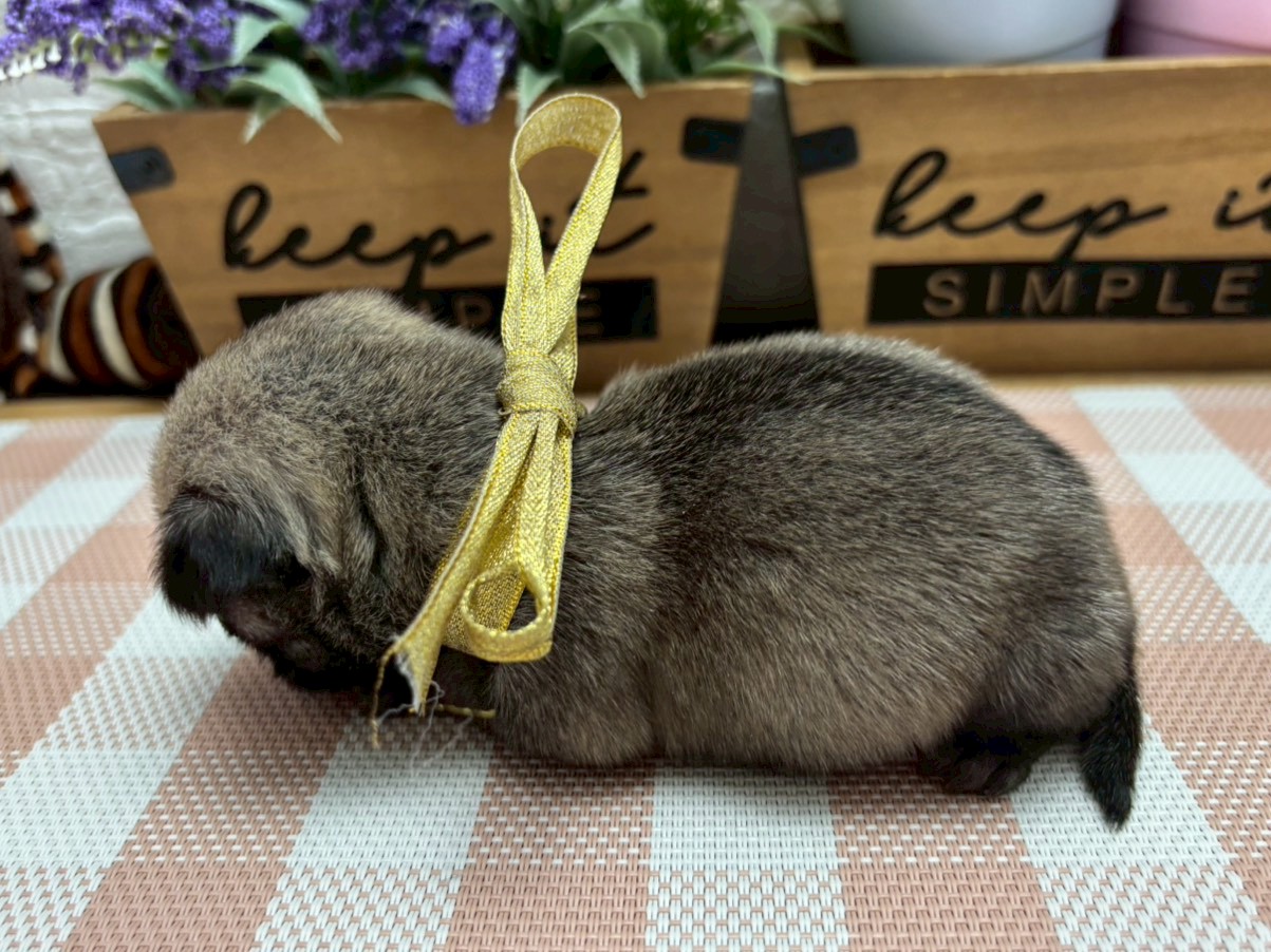 赤ちゃん写真2-2