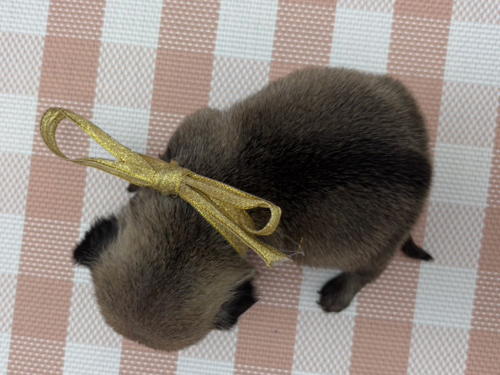 赤ちゃん写真2-3