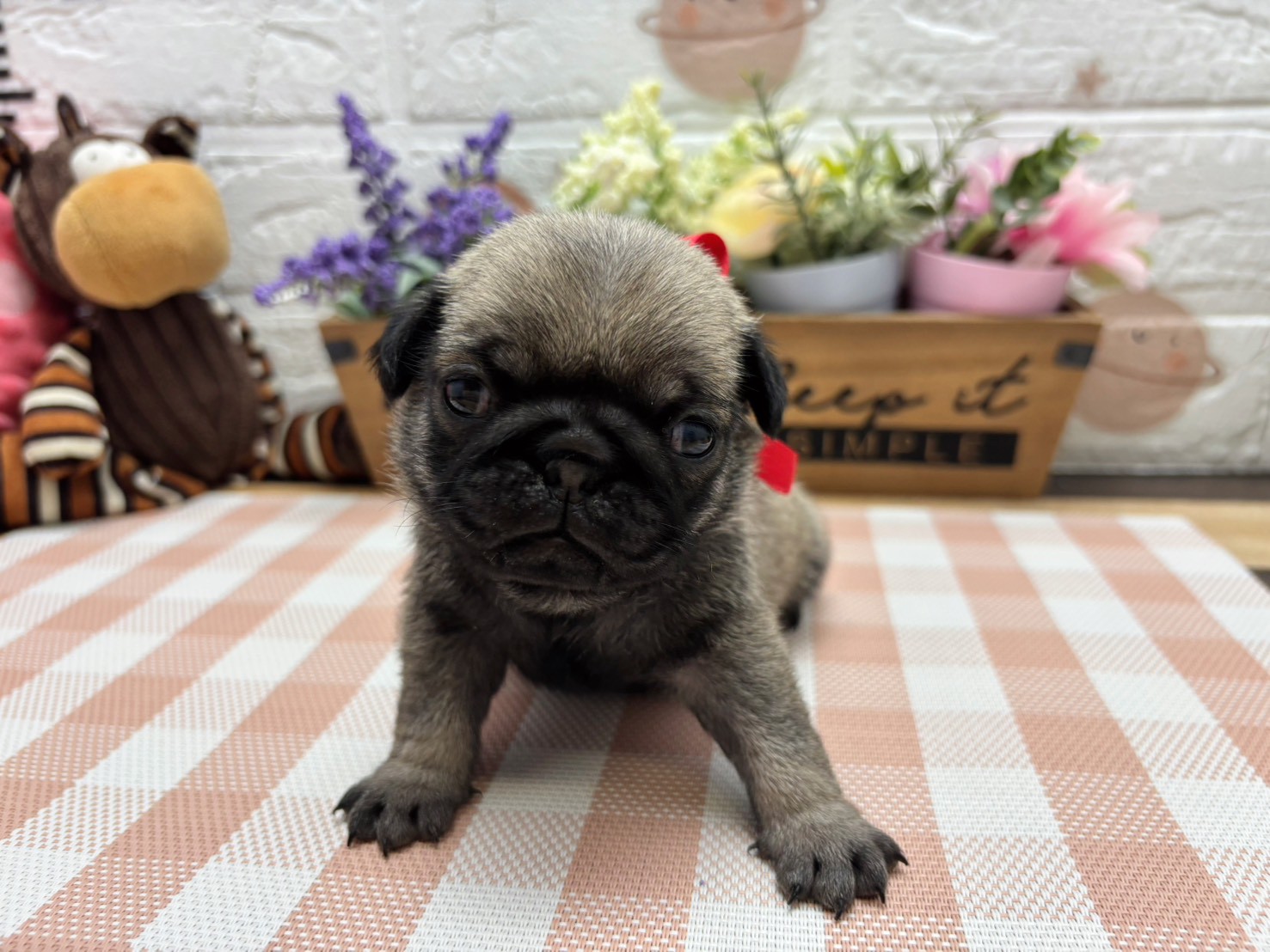 赤ちゃん写真2-1