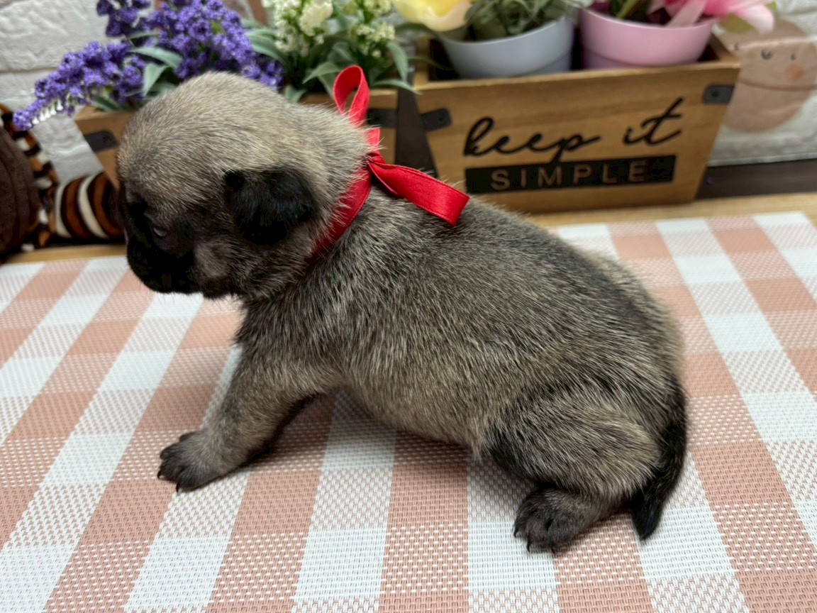 赤ちゃん写真2-2