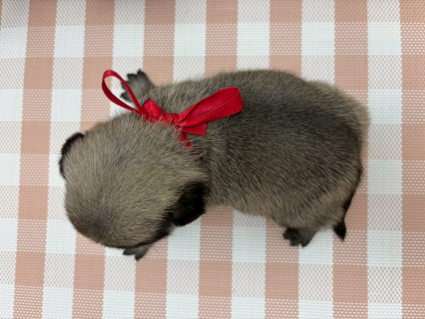 赤ちゃん写真2-3