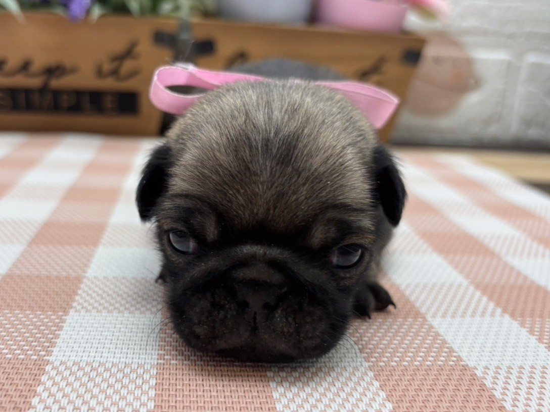 赤ちゃん写真2-1