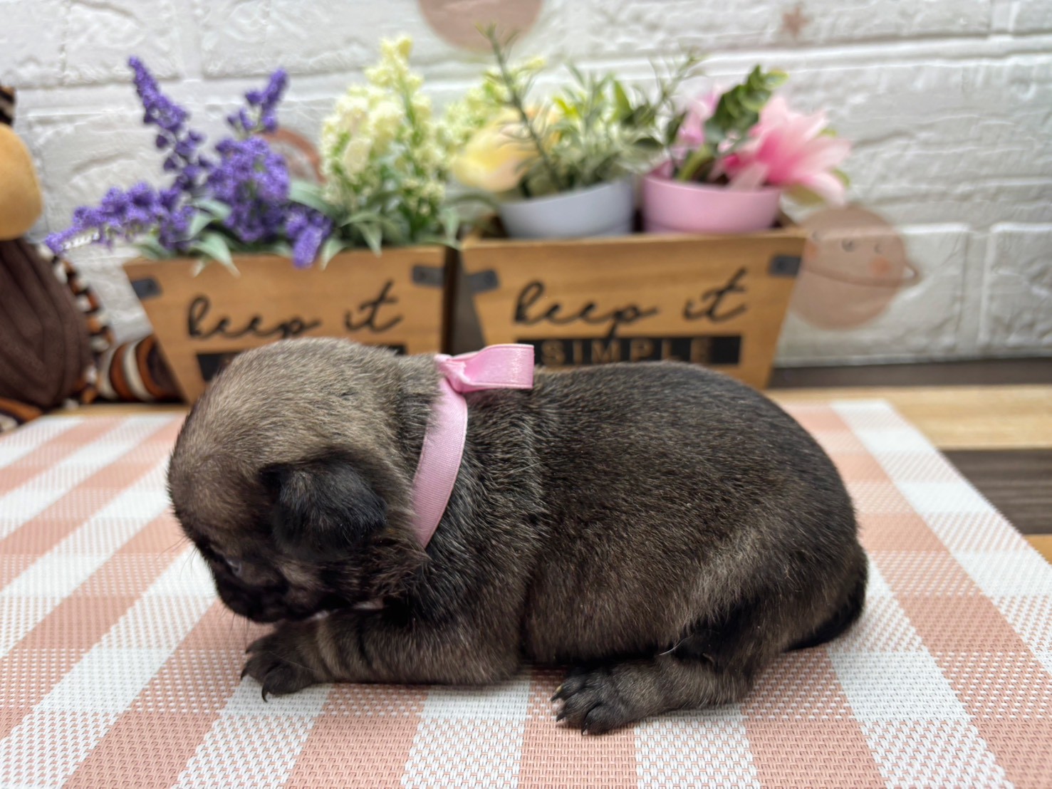 赤ちゃん写真2-2