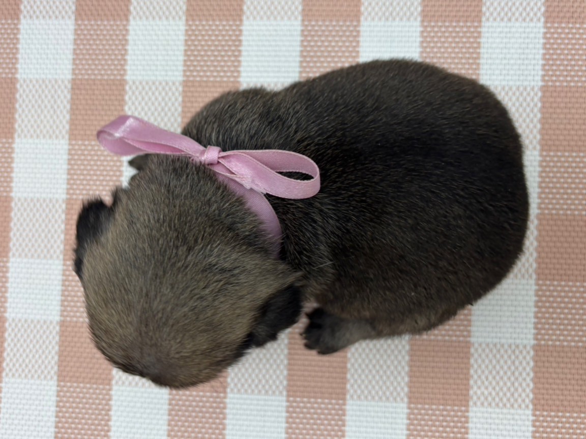 赤ちゃん写真2-3