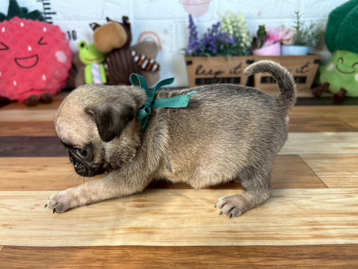 赤ちゃん写真3-2