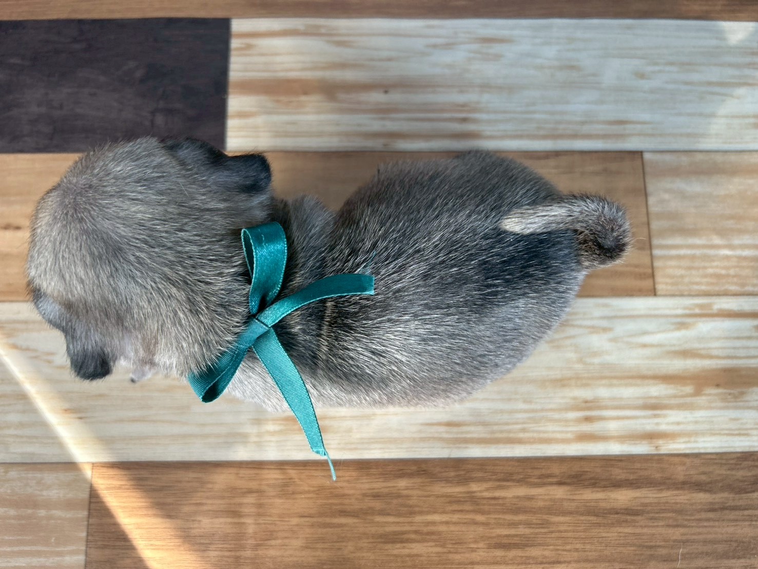 赤ちゃん写真3-3