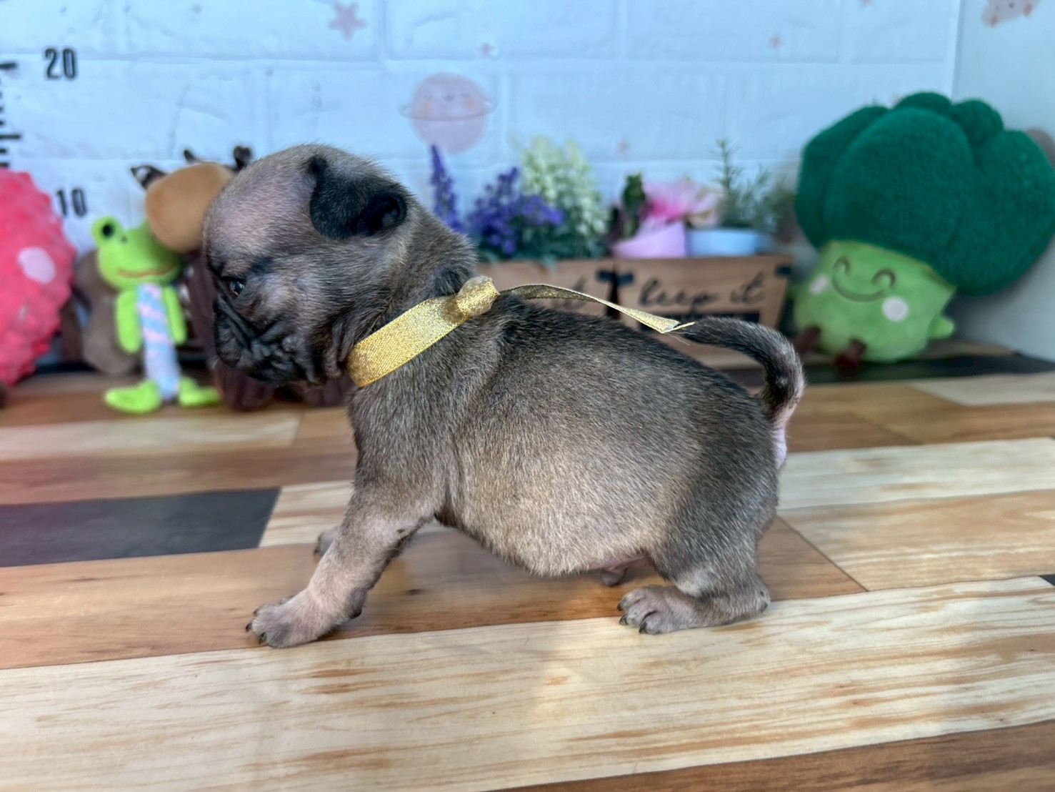 赤ちゃん写真3-2