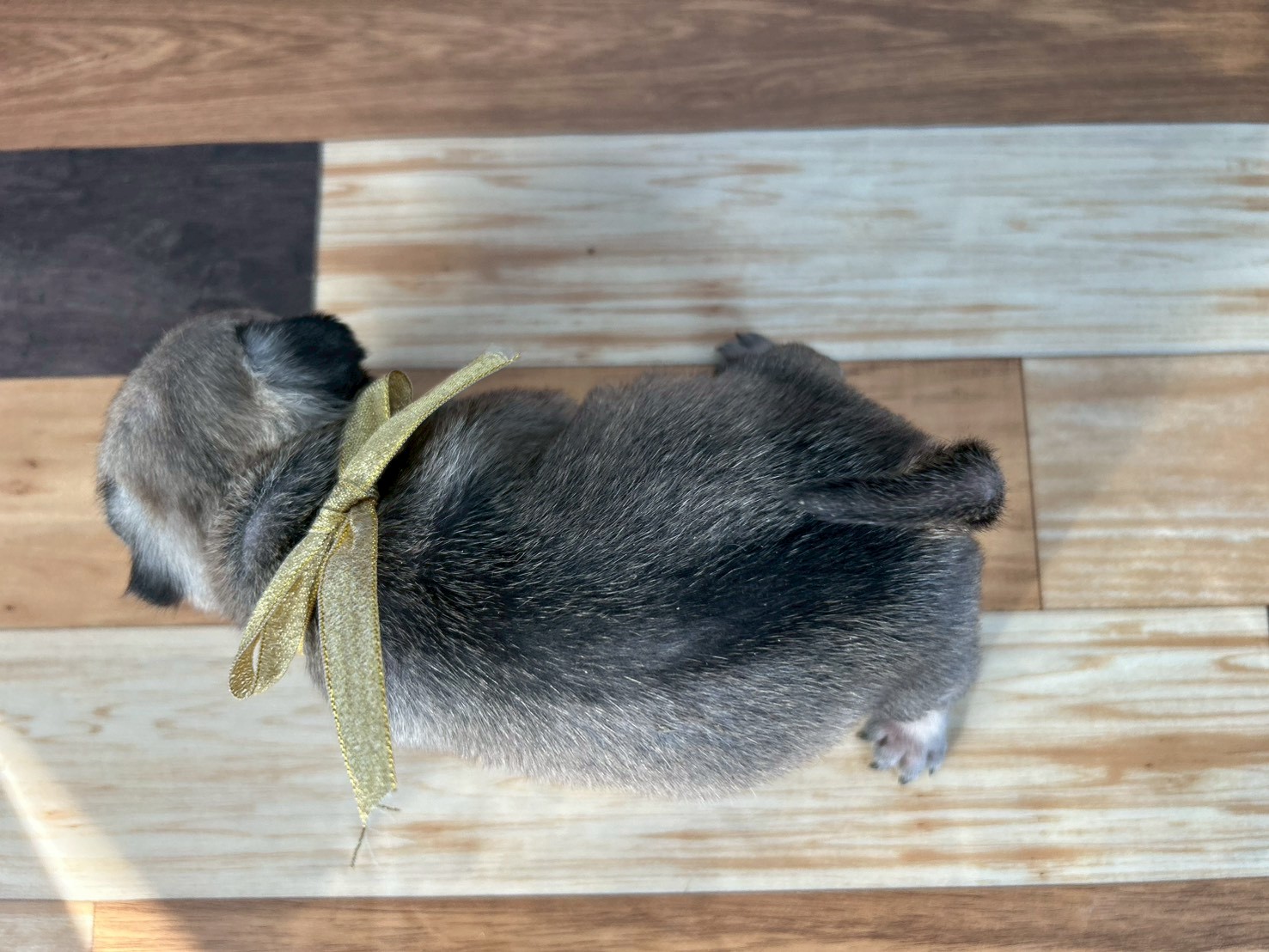 赤ちゃん写真3-3