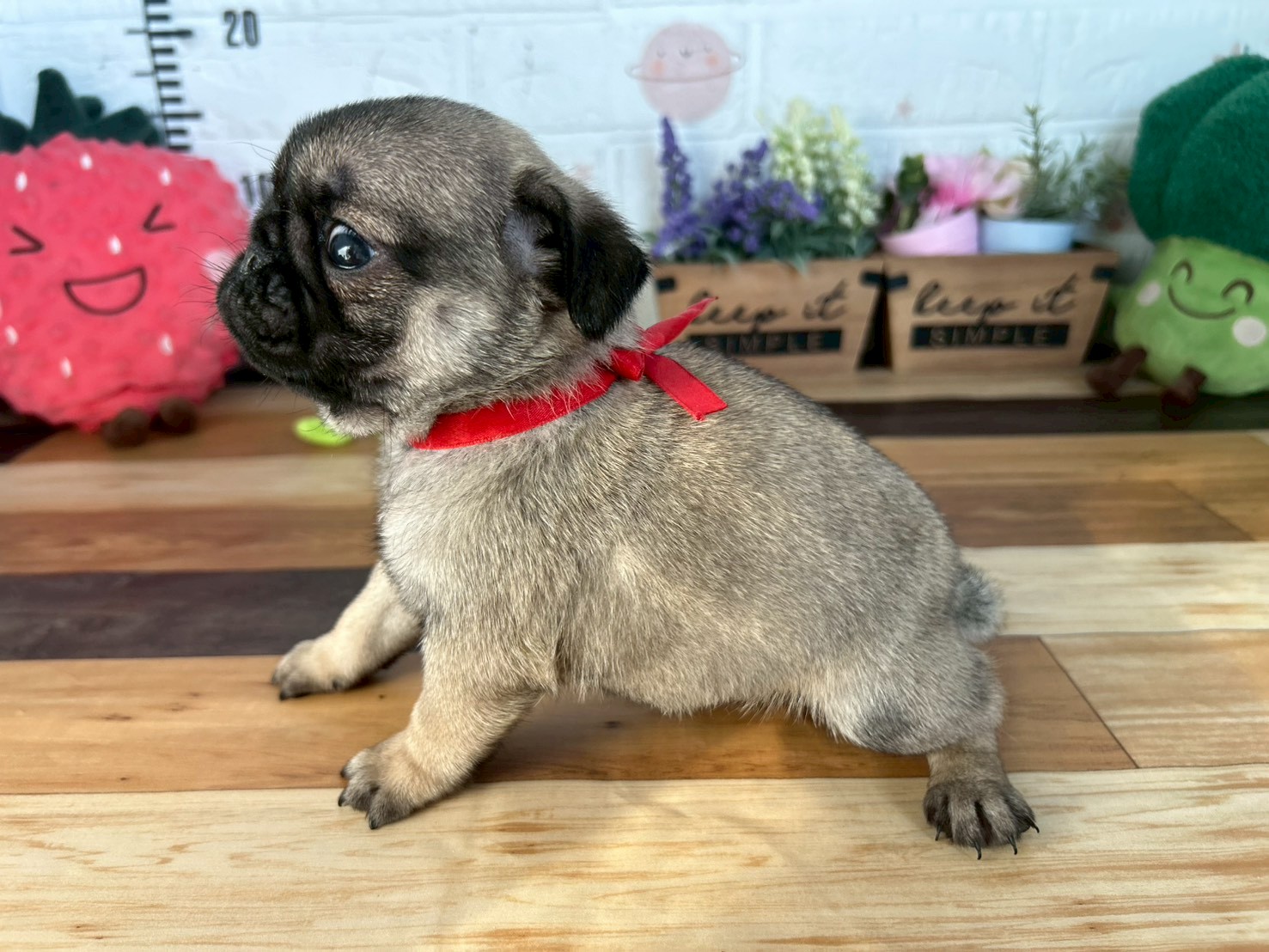 赤ちゃん写真3-2